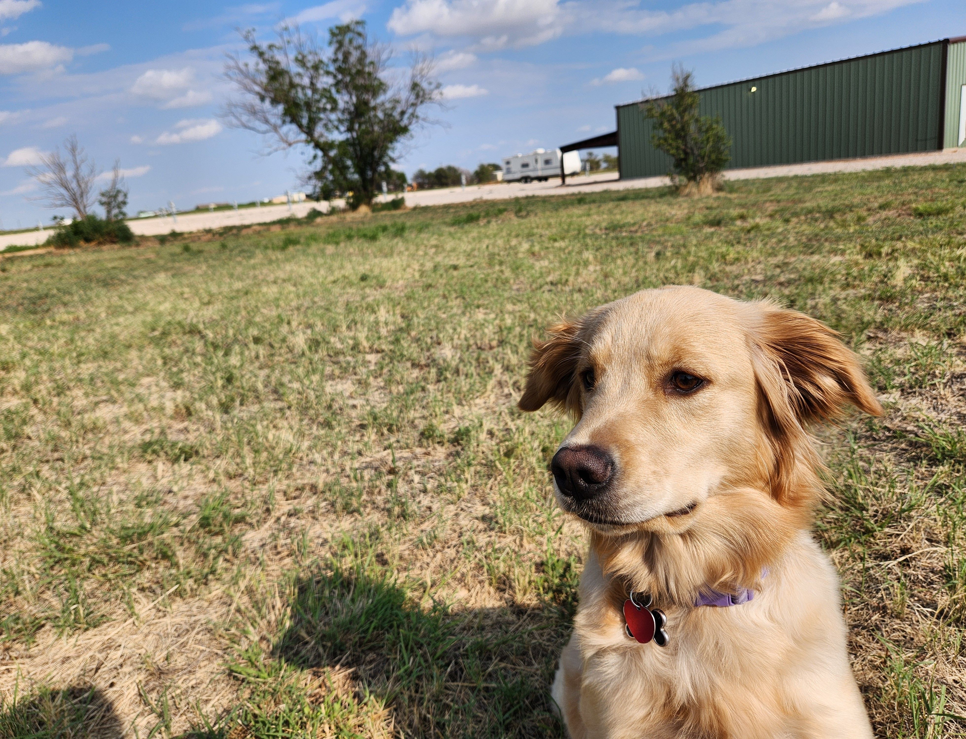 All Photos for Prairie Land Properties LLC in Lubbock, TX