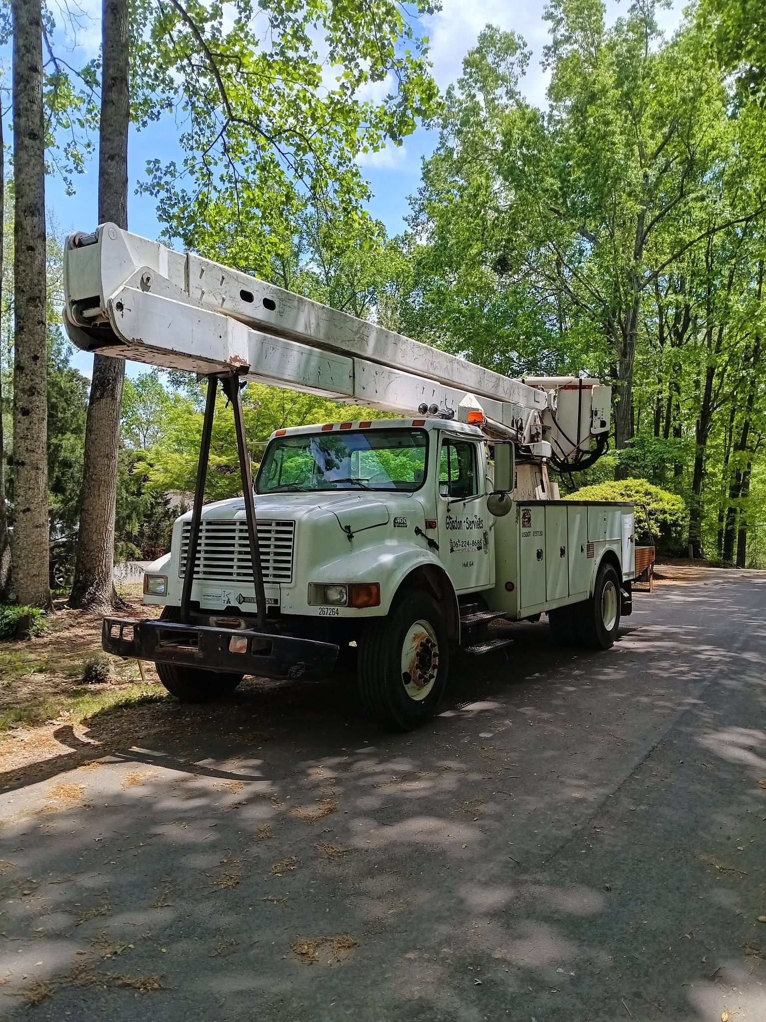 Tree Removal for Goliath Tree Maintenance and Haul Away in Seneca, SC