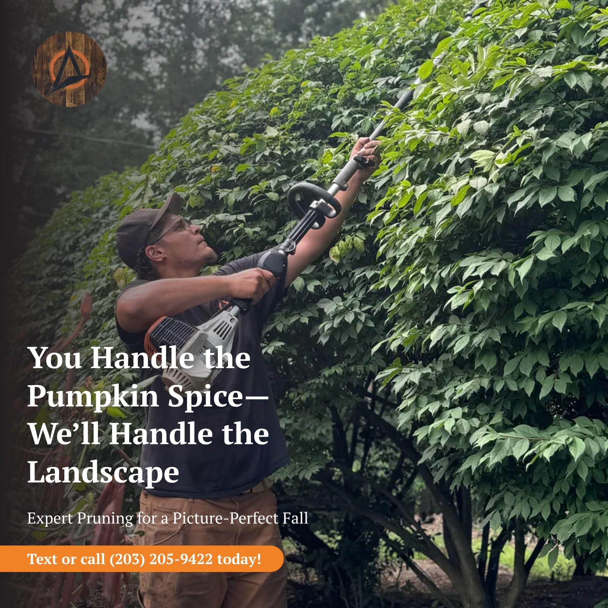  for Ace Landscaping in Trumbull, CT