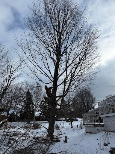 All Photos for Bishop’s Property Maintenance in Franklin, VT