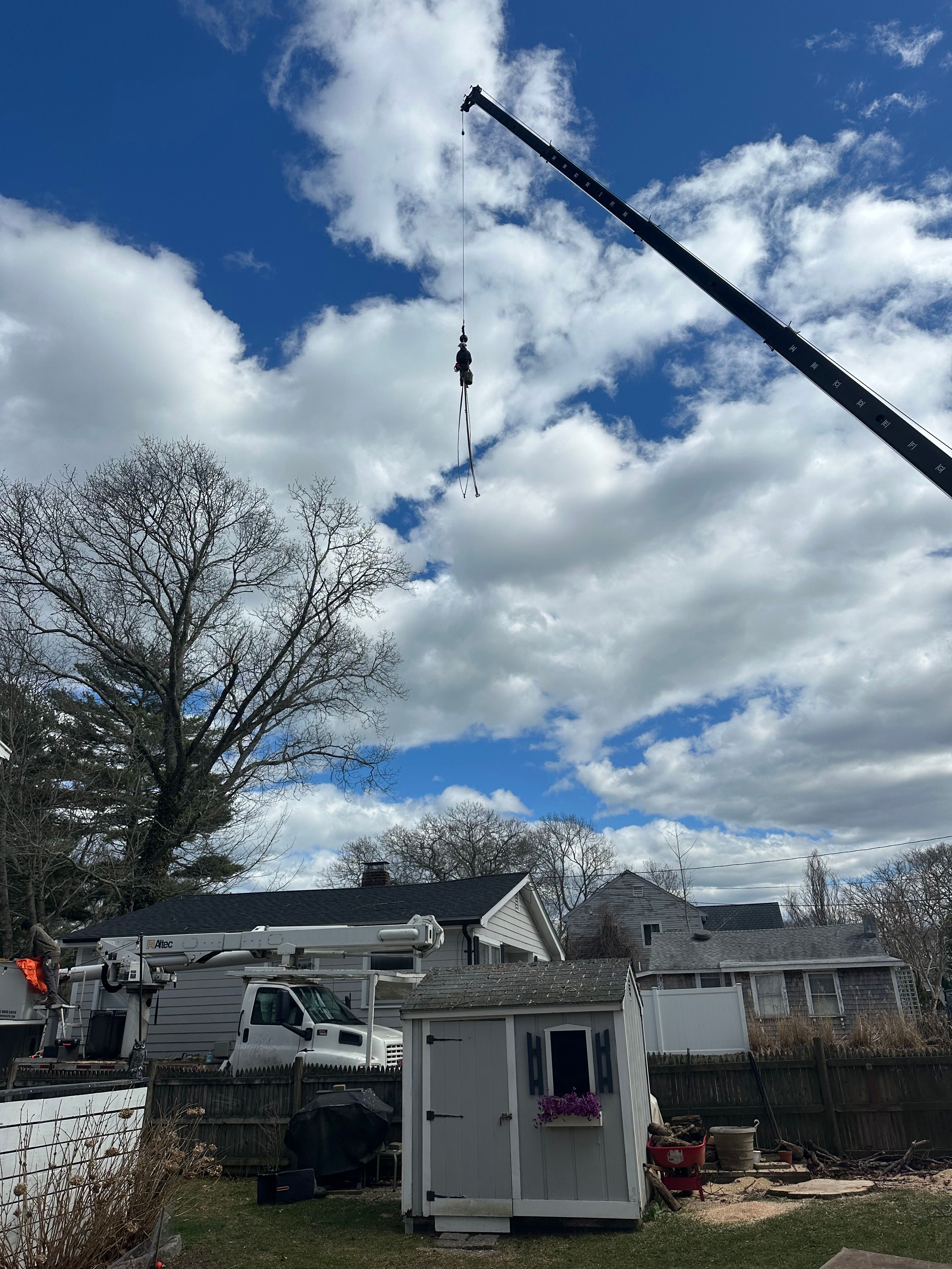  for Powells Tree Service Inc. in Cape Cod, MA