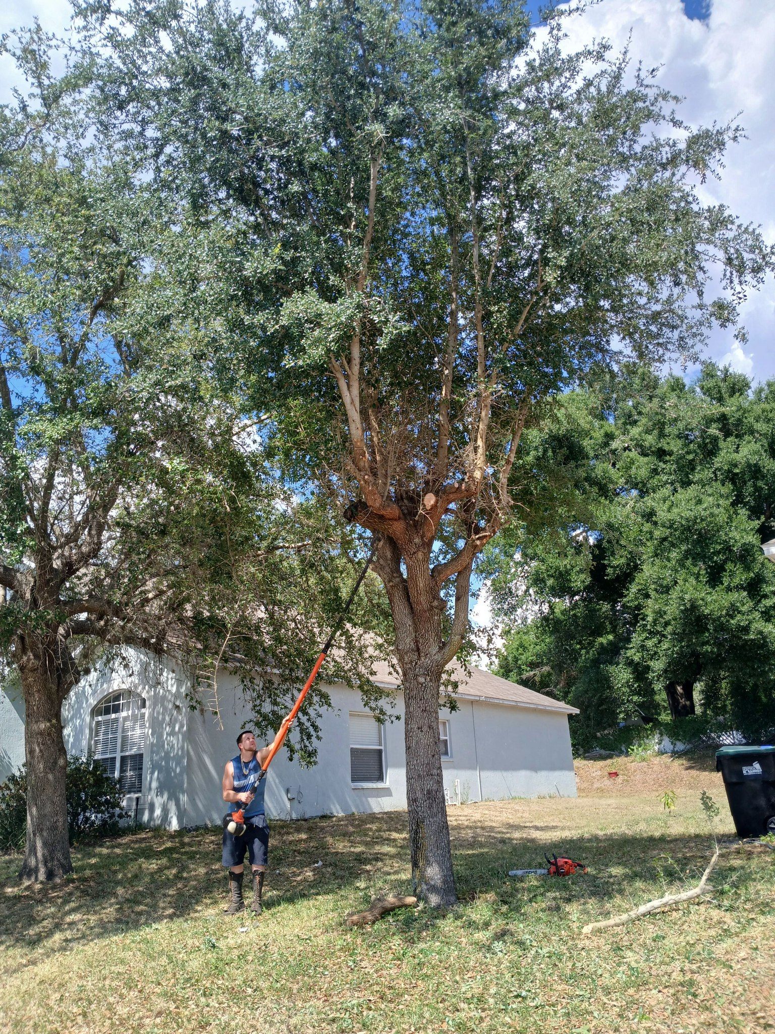  for A Southern Style Tree Service in Orlando, FL