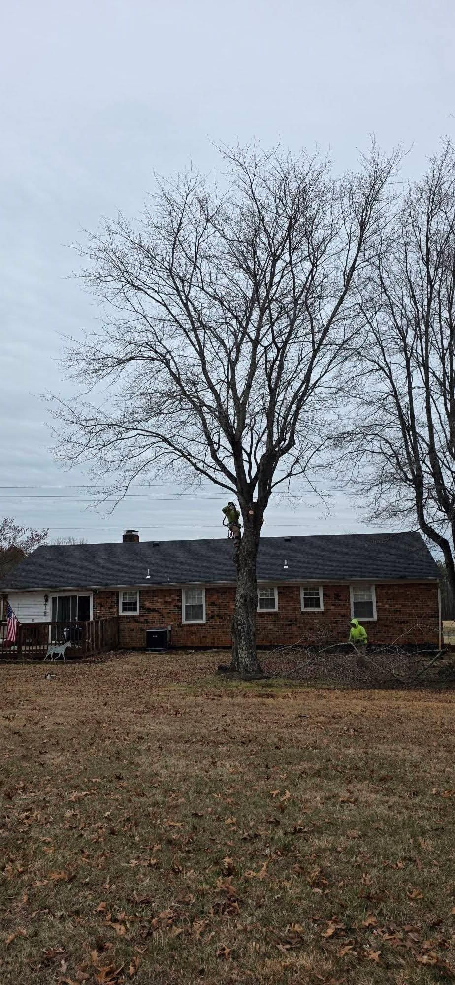  for Hamlett Tree Service LLC in Clover, VA