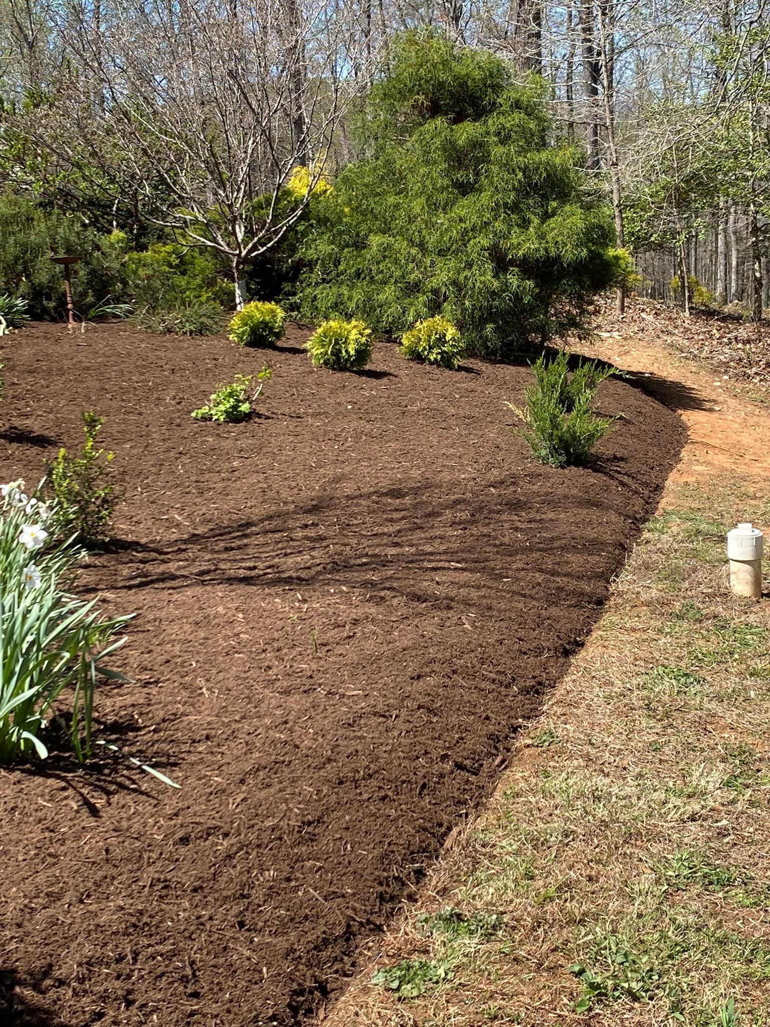  for Valencia’s Lawncare in Charlottesville, VA