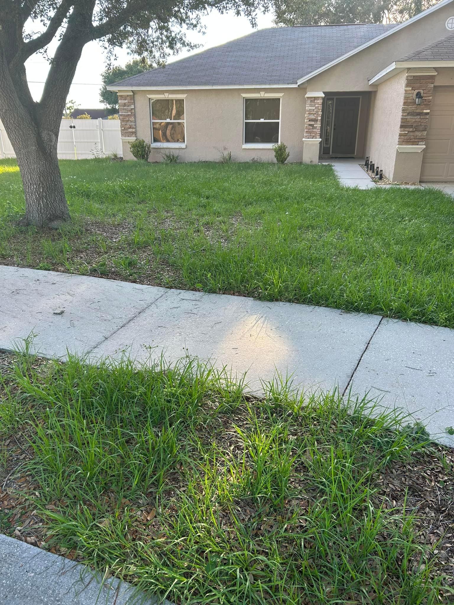 All Photos for Estrada All Pro Lawn Service in Auburndale, Florida