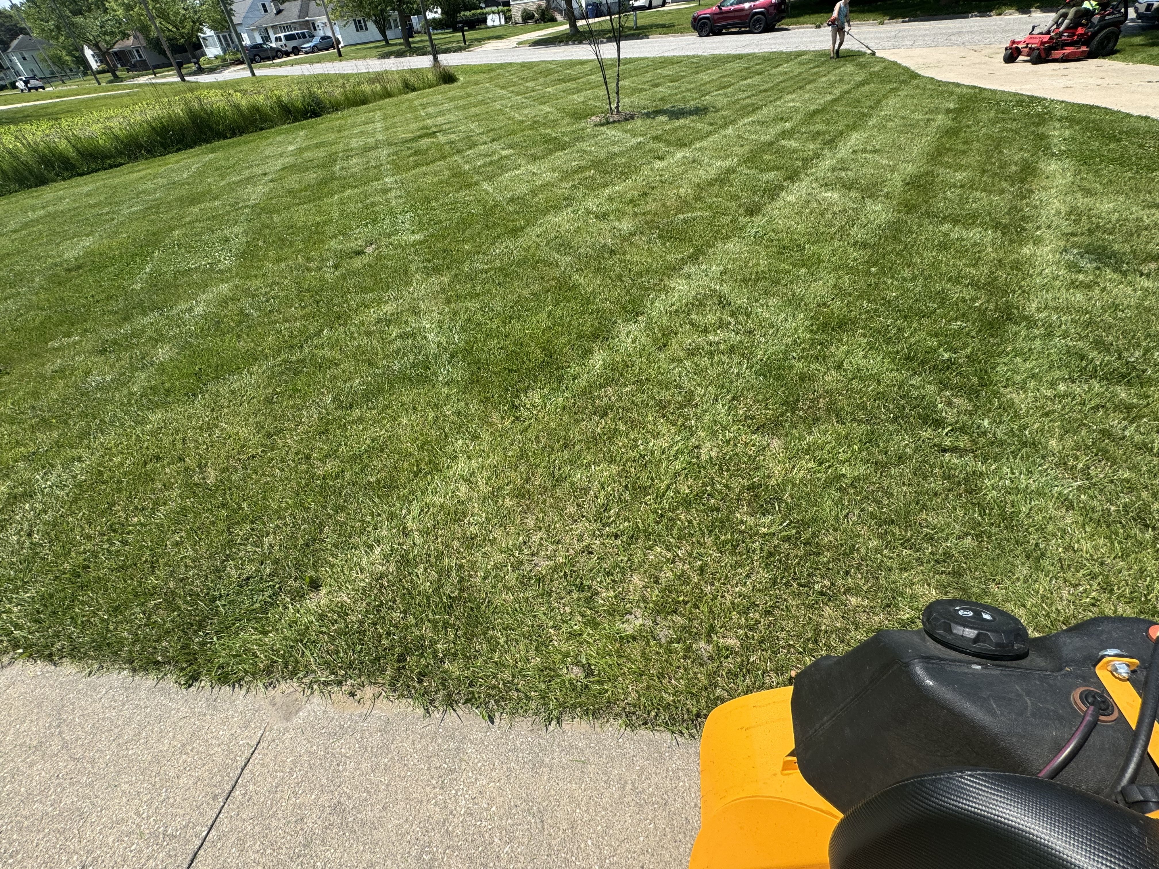  for Daugherty's Tough Lawn Care in Essexville, MI