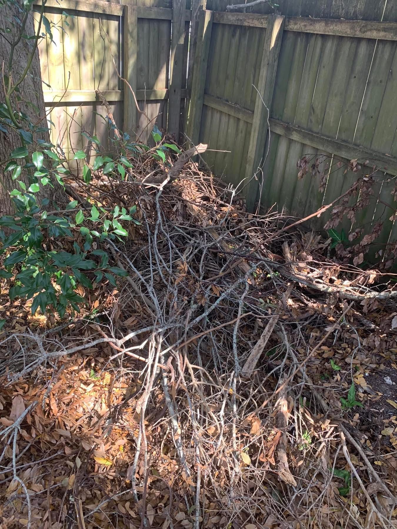  for Space Coast Property Maintenance and Management LLC in Melbourne, FL