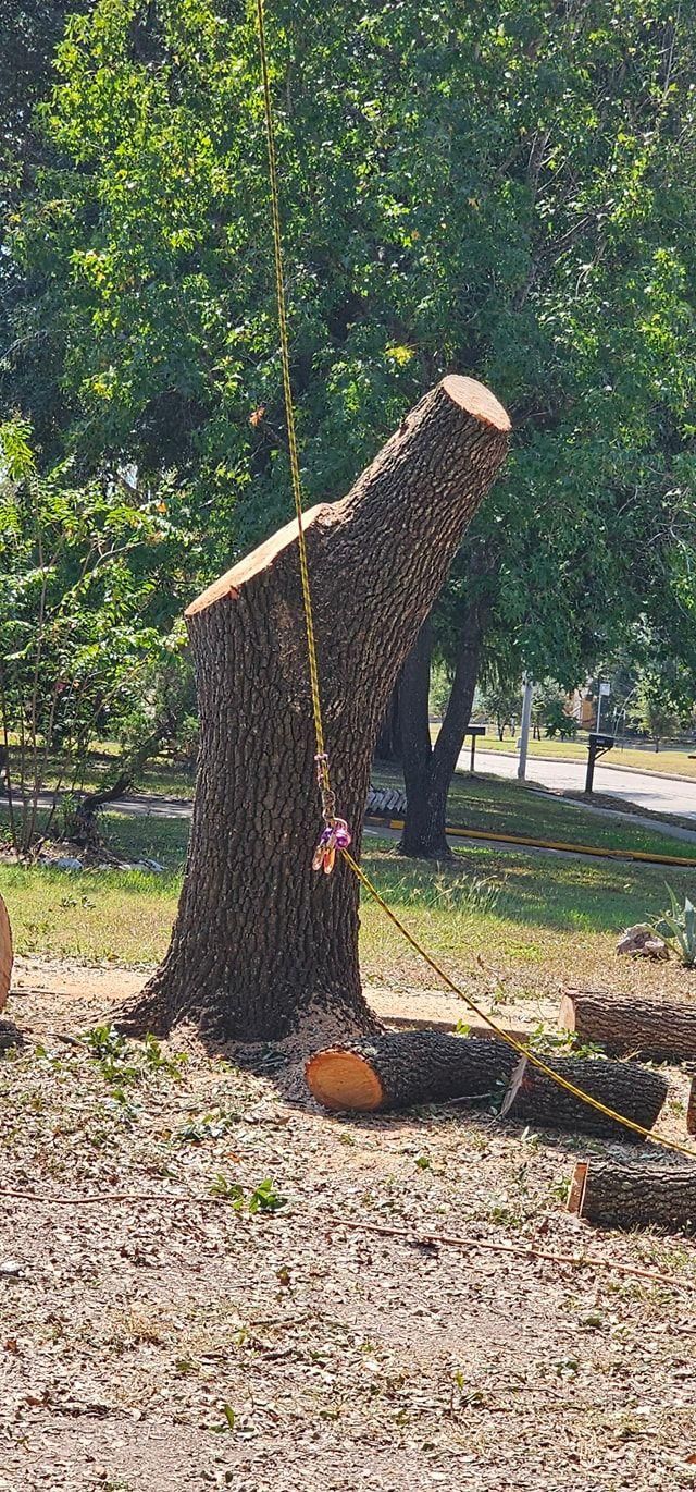  for Servin's Tree Care  in Houston, TX