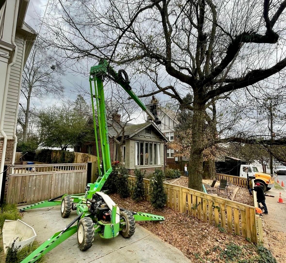  for Clear Tree Land Solutions in Dawson County, GA
