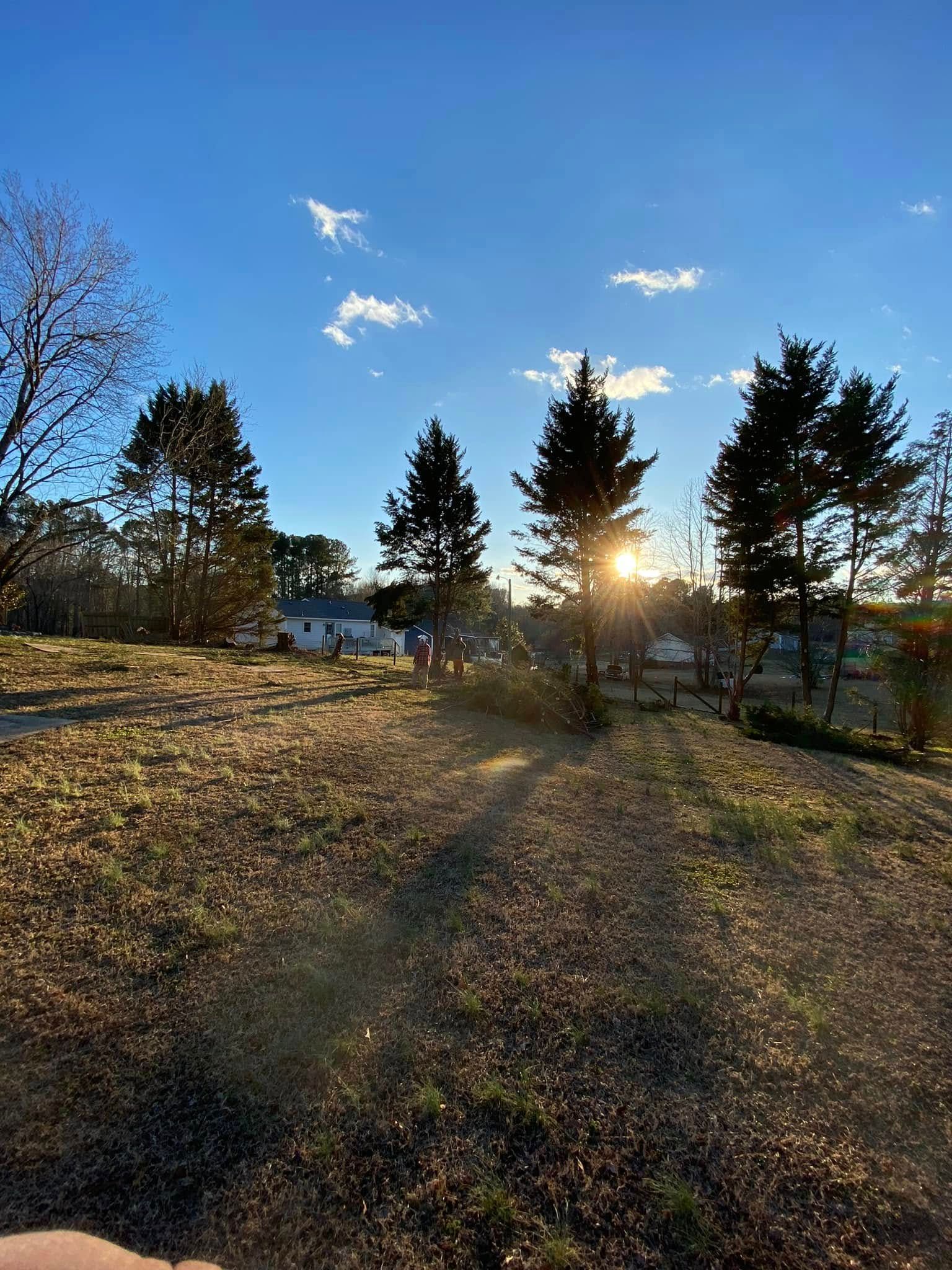 Tree Removal for MTJ Tree Removal LLC in Zebulon, NC