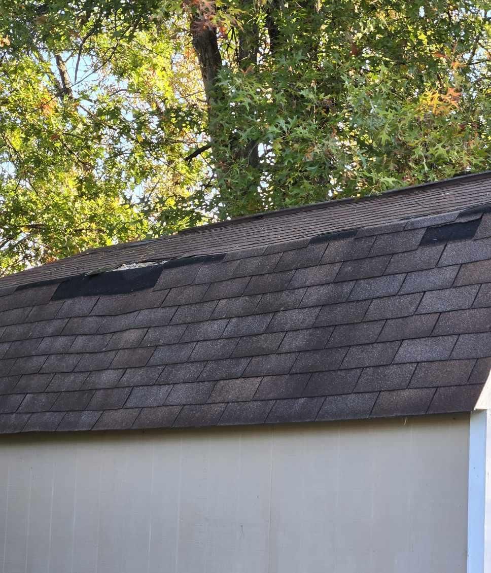  for Dead Tree General Contracting in Carbondale, Illinois