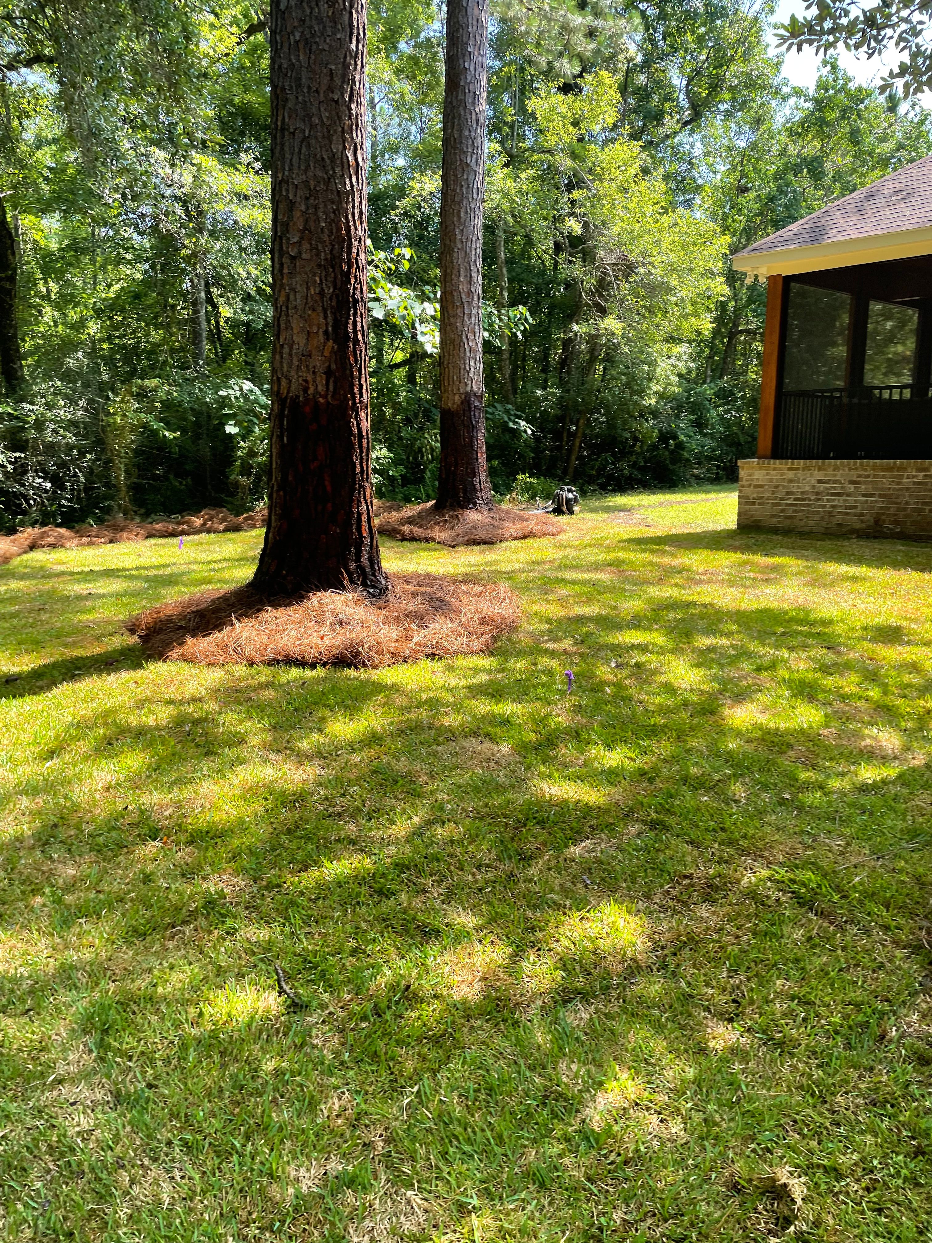  for Enhanced Landscape in Daphne, AL