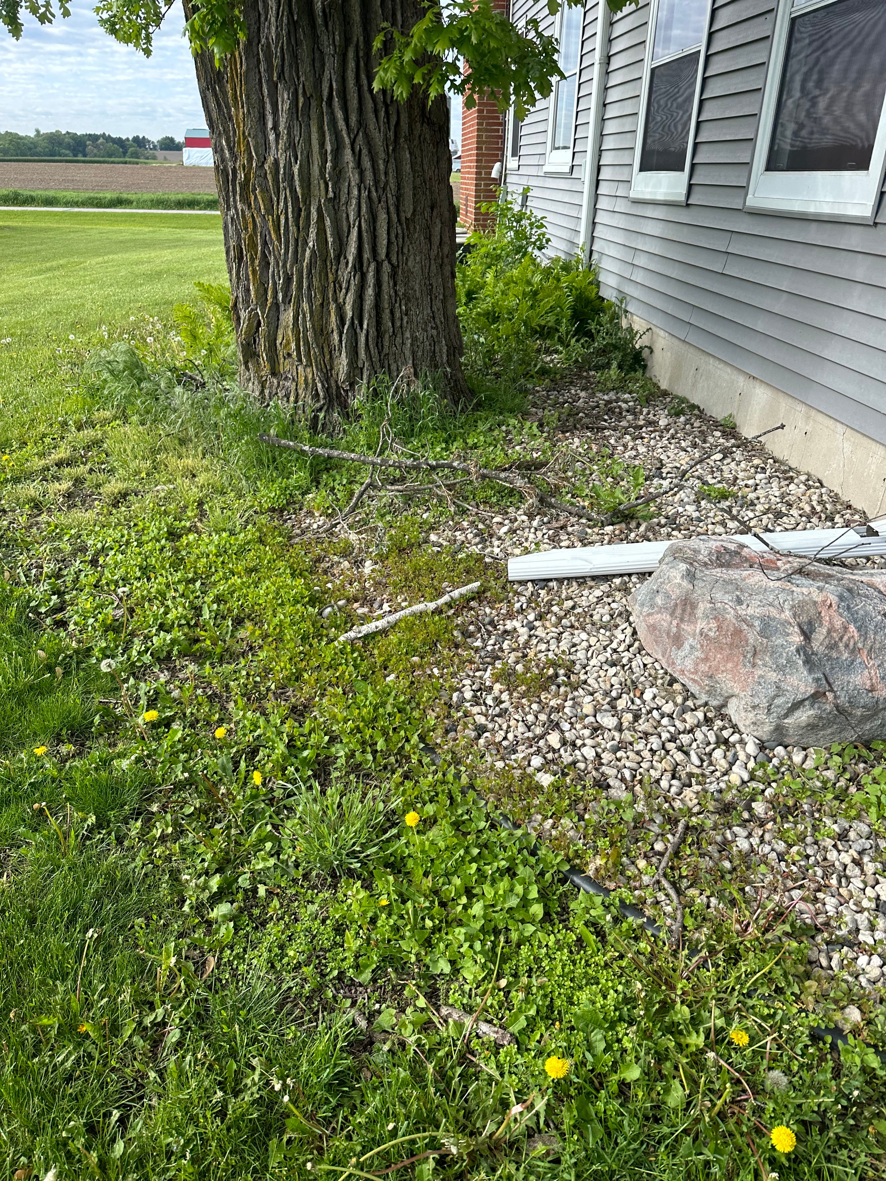  for 608 Earthworks in Marshall, WI