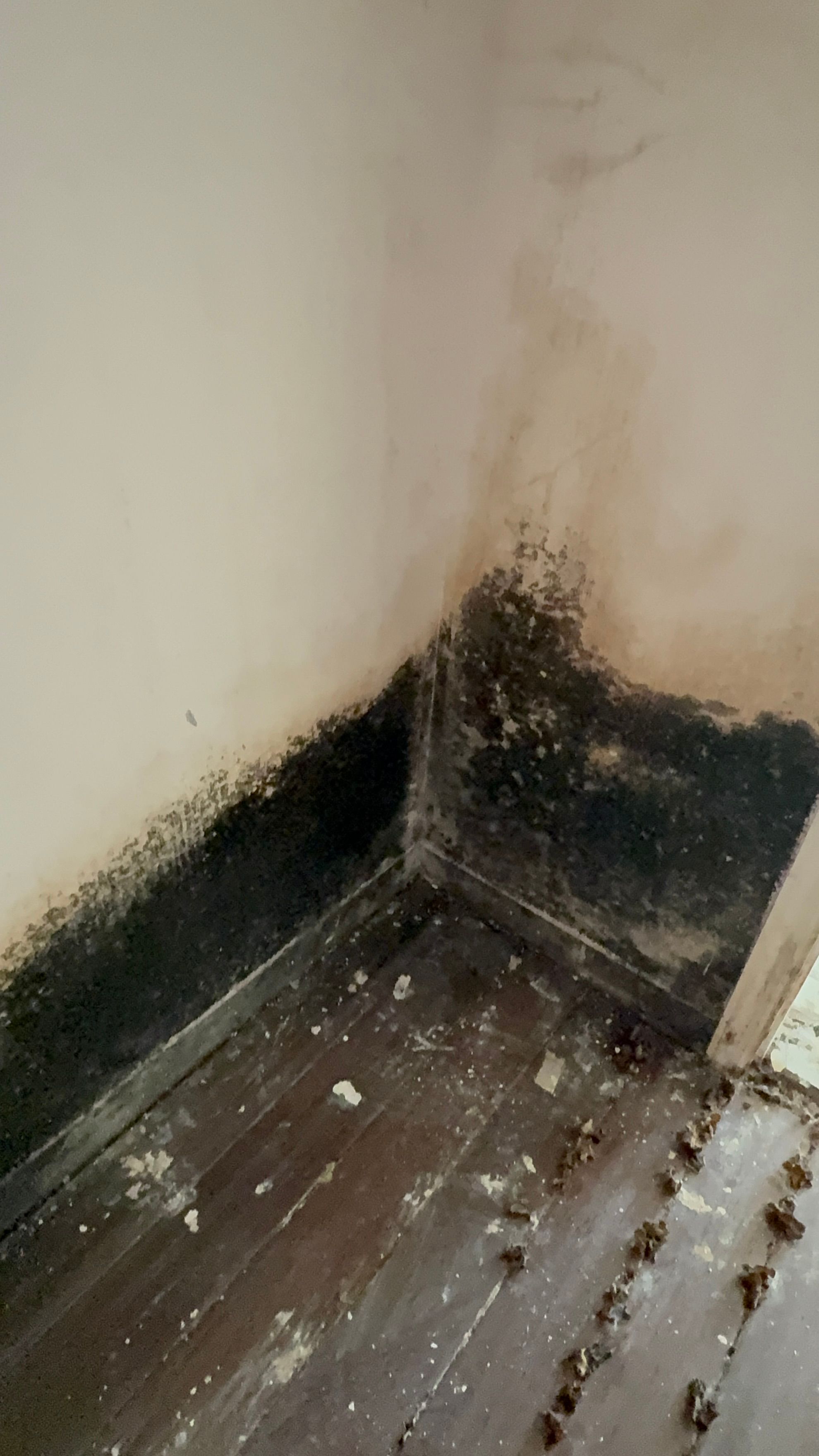  for N&D Restoration Services When Disaster Strikes, We Come In in Cape Coral,  FL