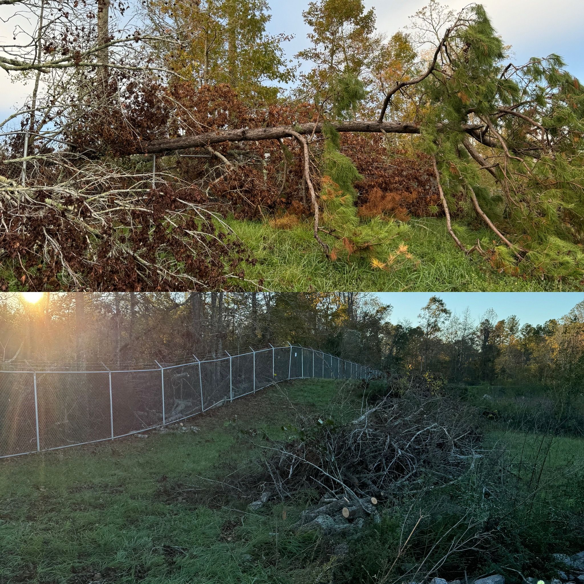 All Photos for Camalett Services in Perry, GA
