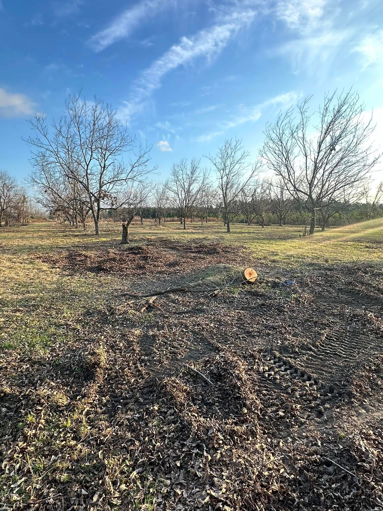 Tree Removal for Page Outdoor Services in Wrightsville, GA