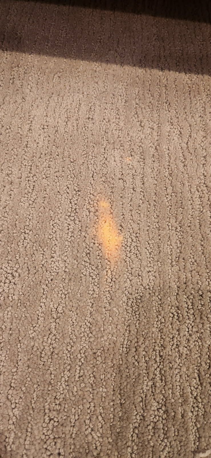  for Cut a Rug Flooring in Lake Orion, MI