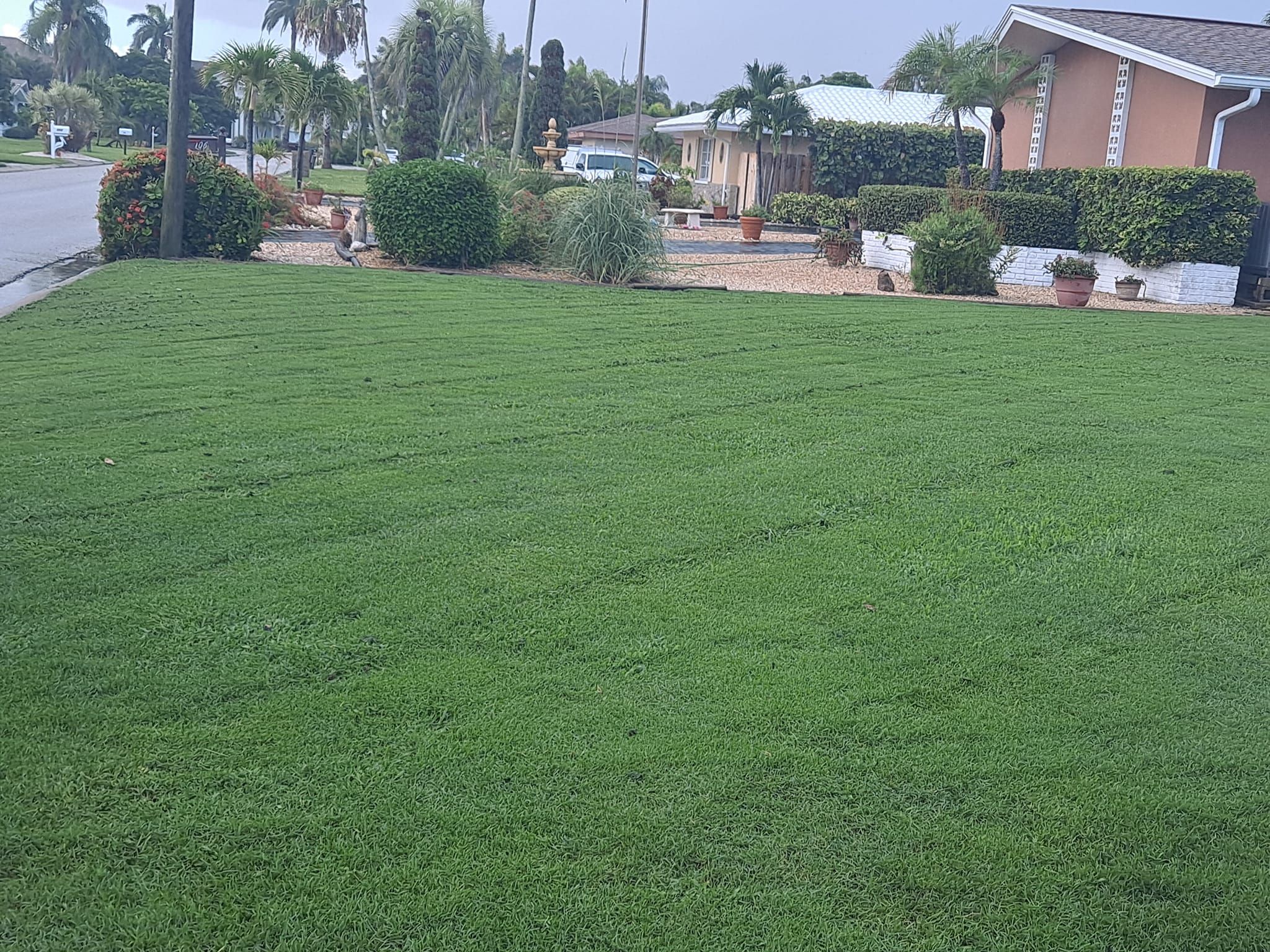  for Sanchez Tree Service in Largo, FL