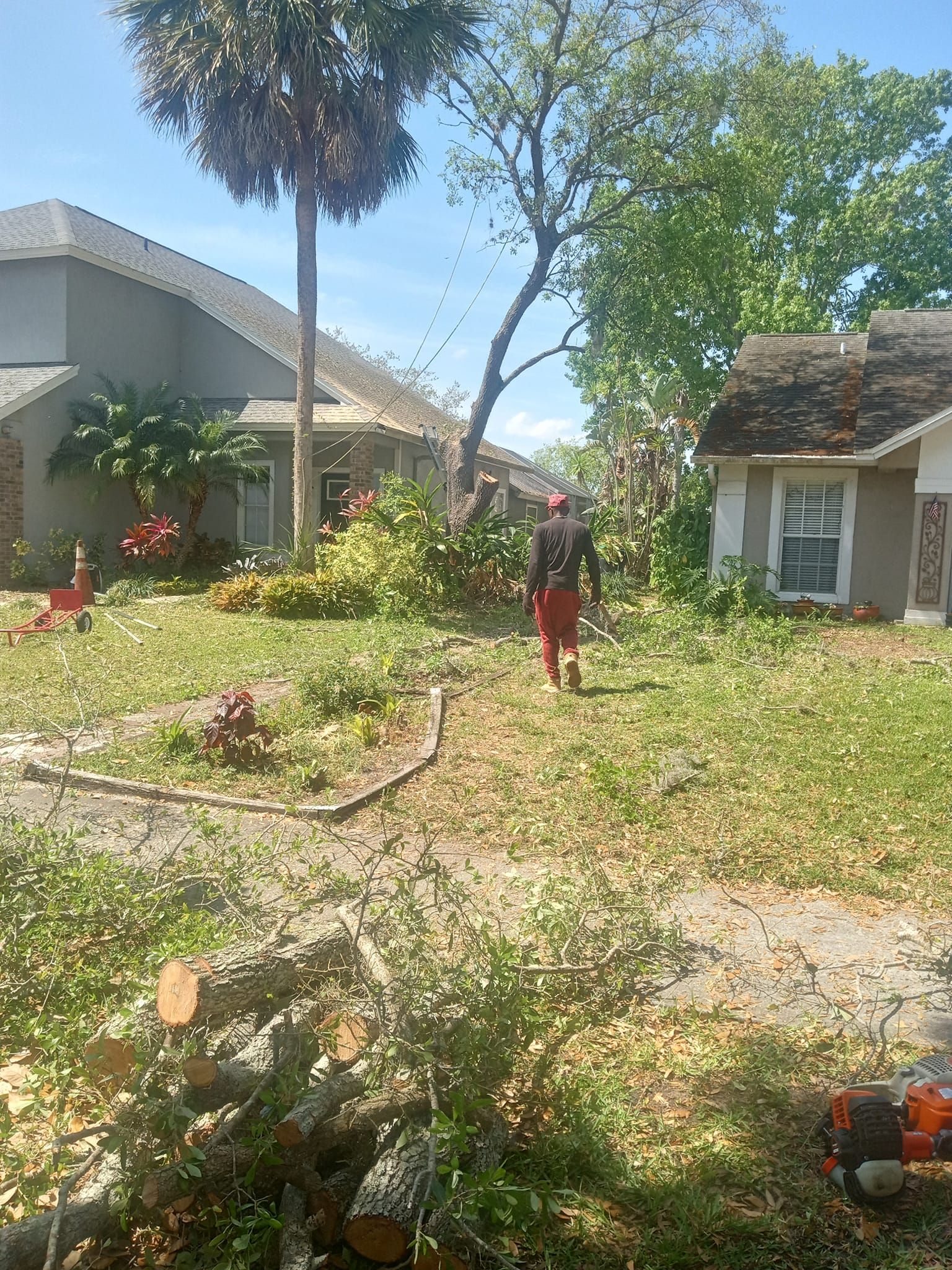  for A Southern Style Tree Service in Orlando, FL