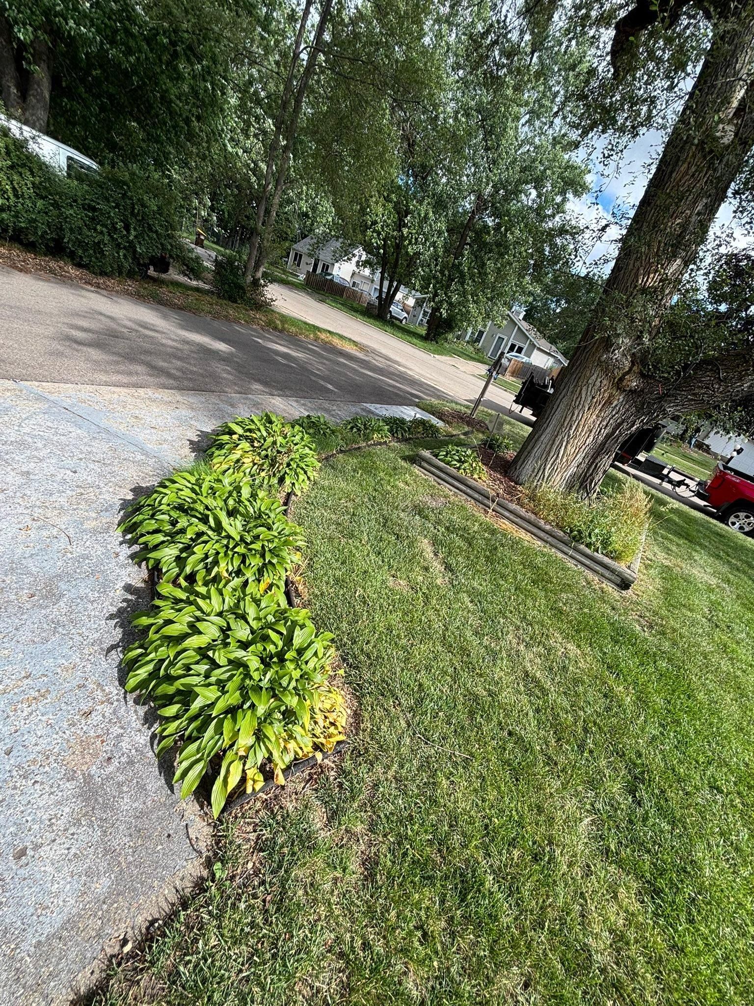  for Cena Landscaping in Rockford, IL