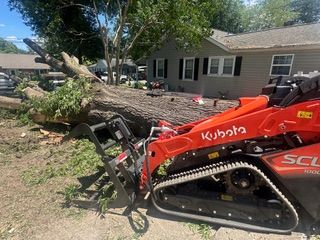 for Cisco Kid Tree Service LLC in Charlotte, North Carolina