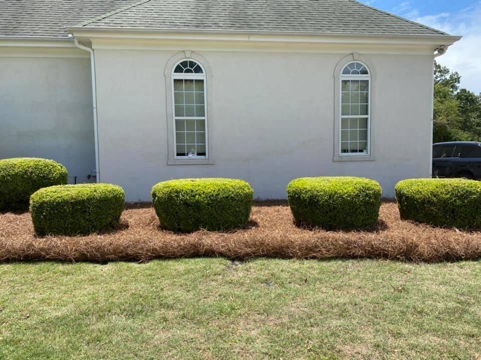 Lawn for Pinnacle Property Maintenance LLC in McDonough, GA