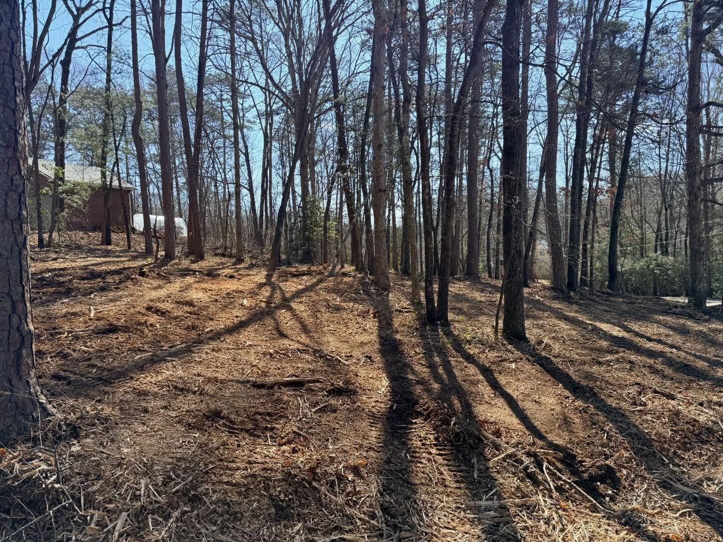  for T Crane Grading LLC in Clarkesville, GA