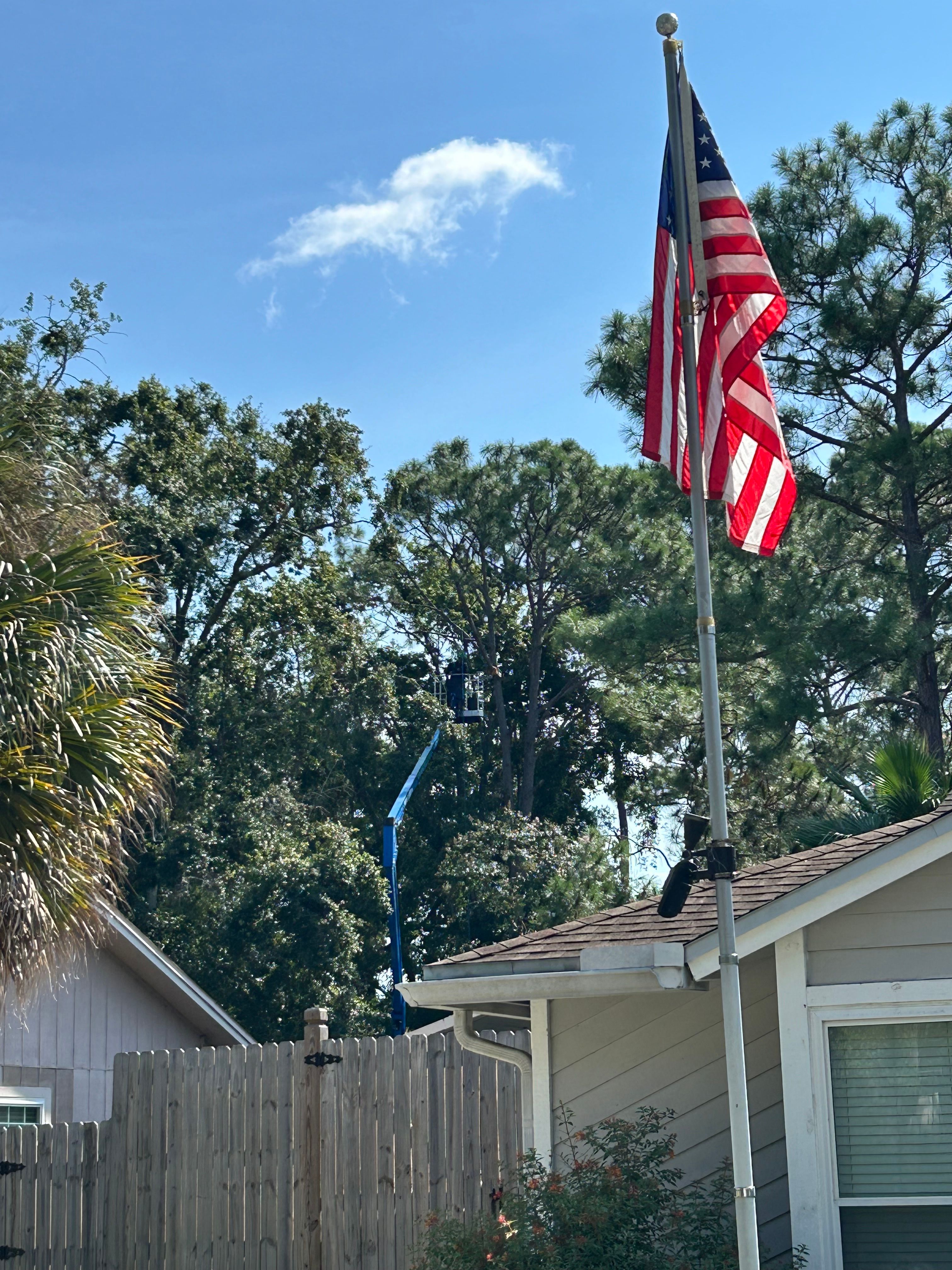  for Elite Tree & Landscape Services LLC in St. Augustine, FL