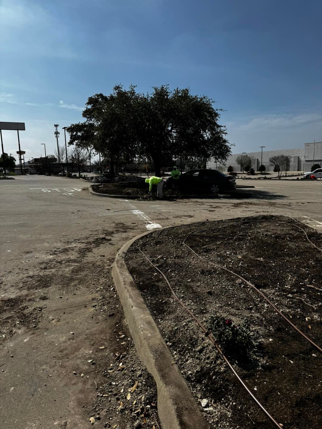  for Freddy’s Irrigation in Plano, TX