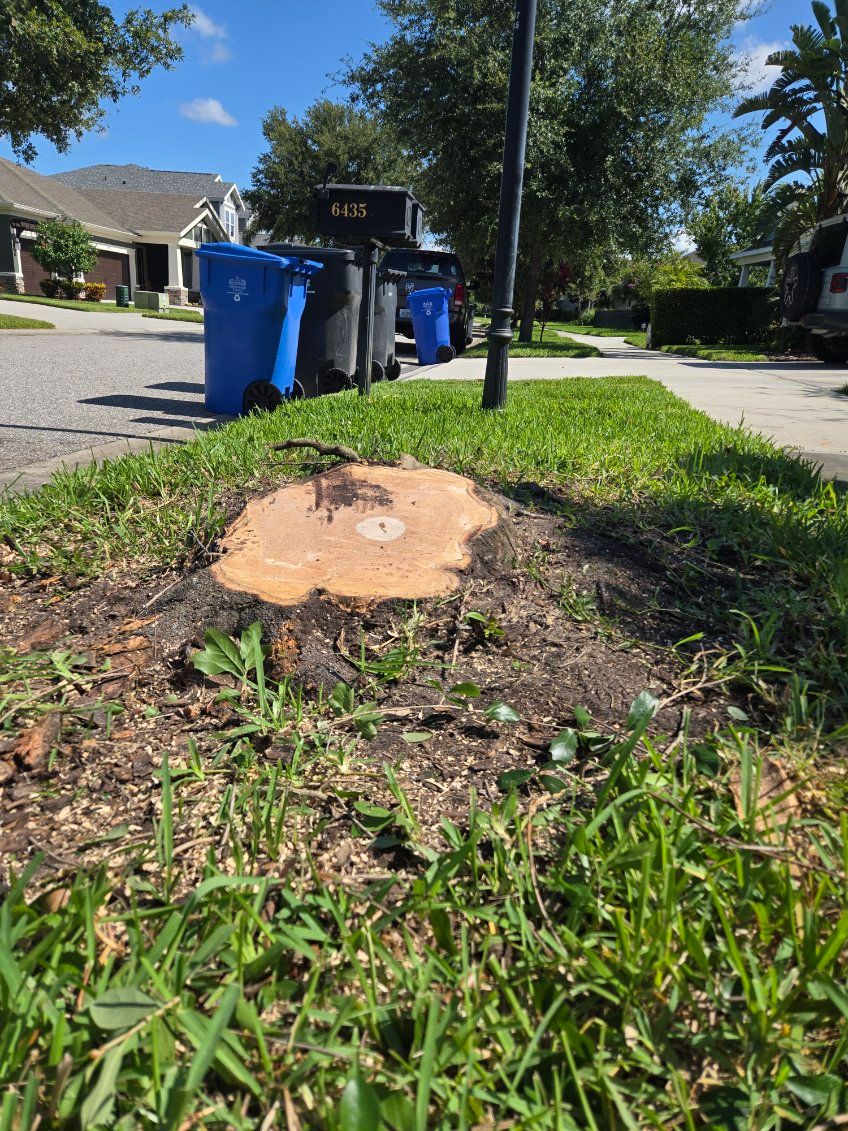 Tree Removal for TREE BOYS in Ruskin, FL