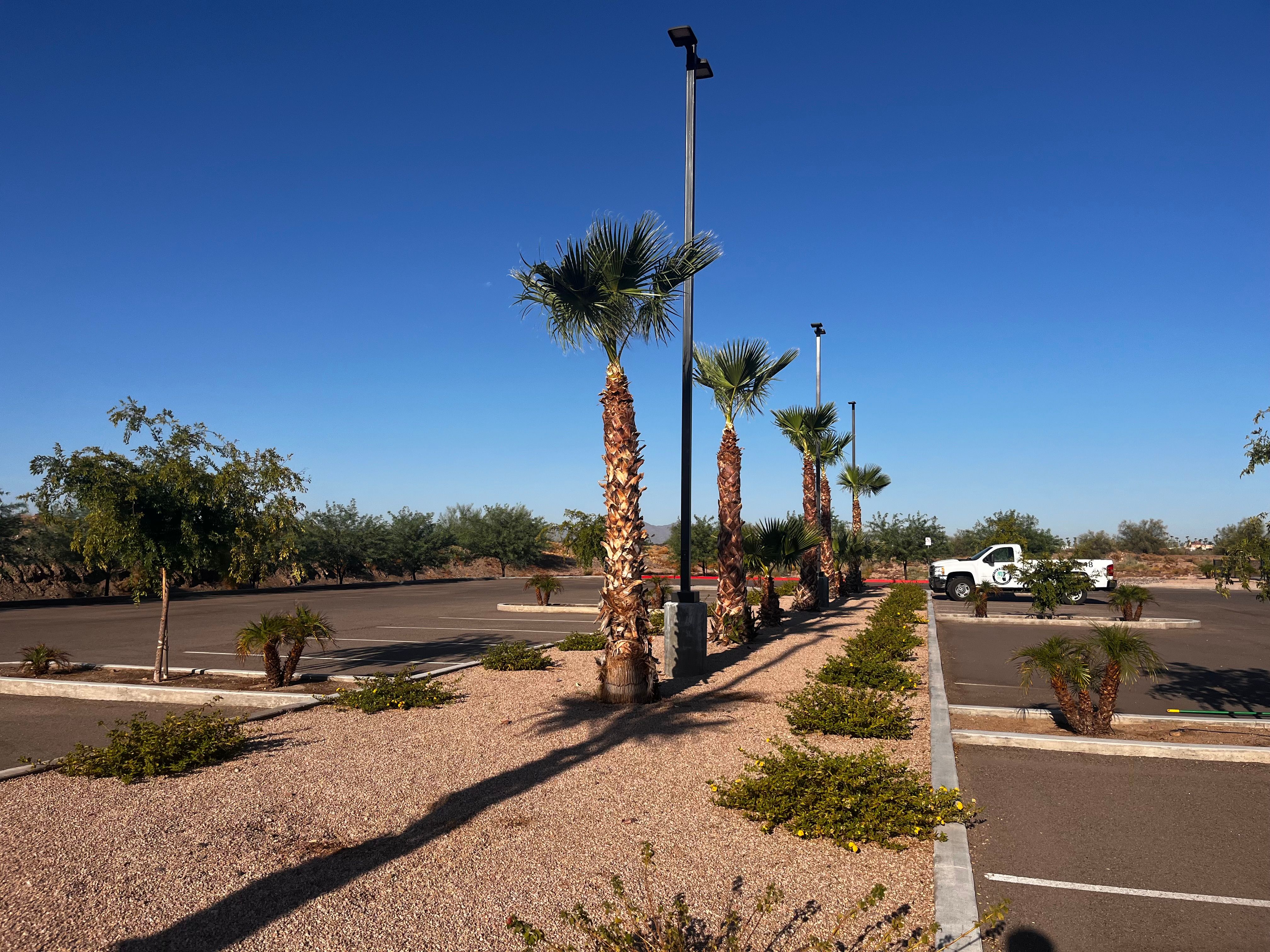  for AZ Tree & Hardscape Co in Surprise, AZ