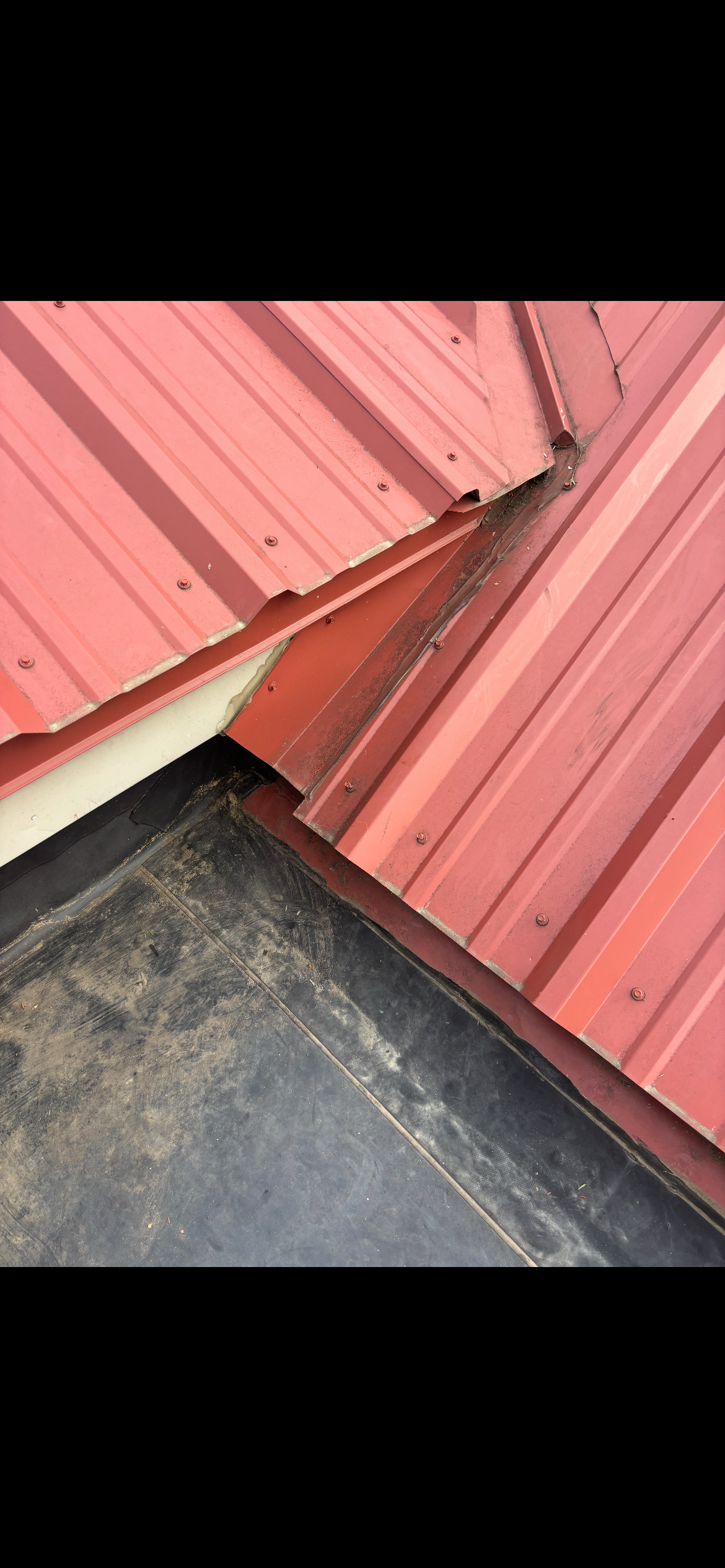  for Todd L. Snyder Construction Services in New Ringgold, PA