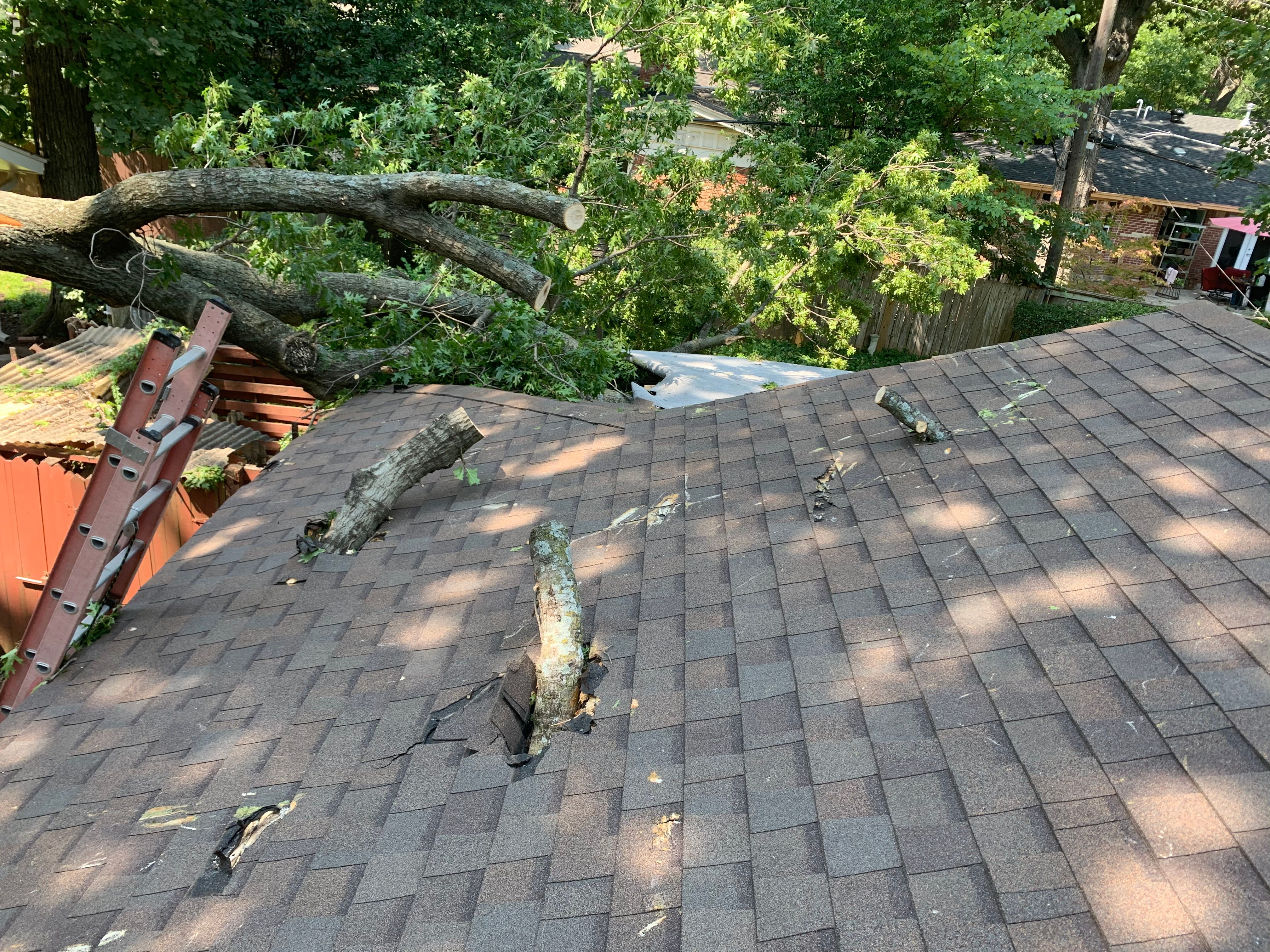  for TLC Professional Tree Service in Bedford, TX
