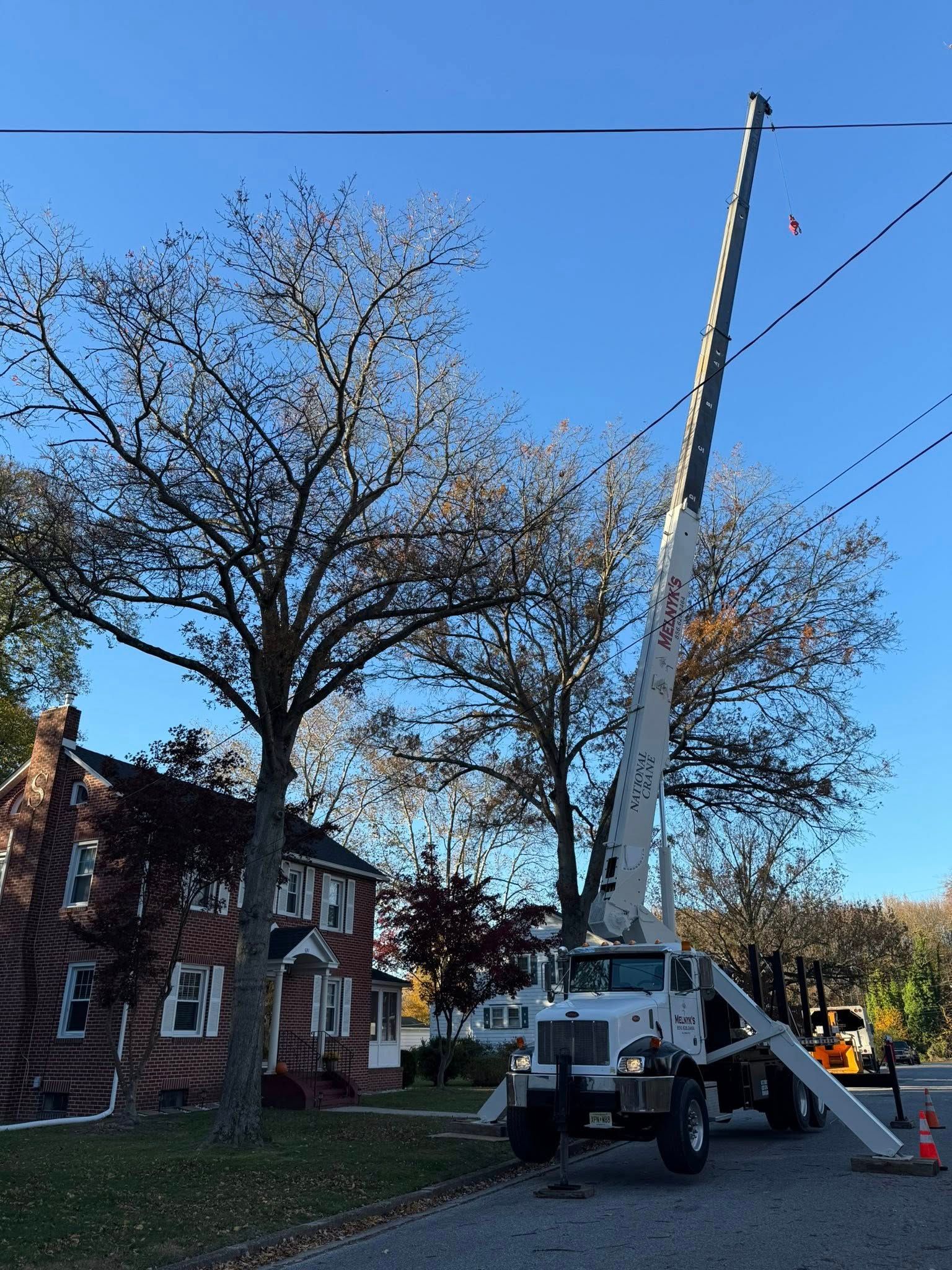 All Photos for Melnyk’s Tree Service in Salem County, NJ
