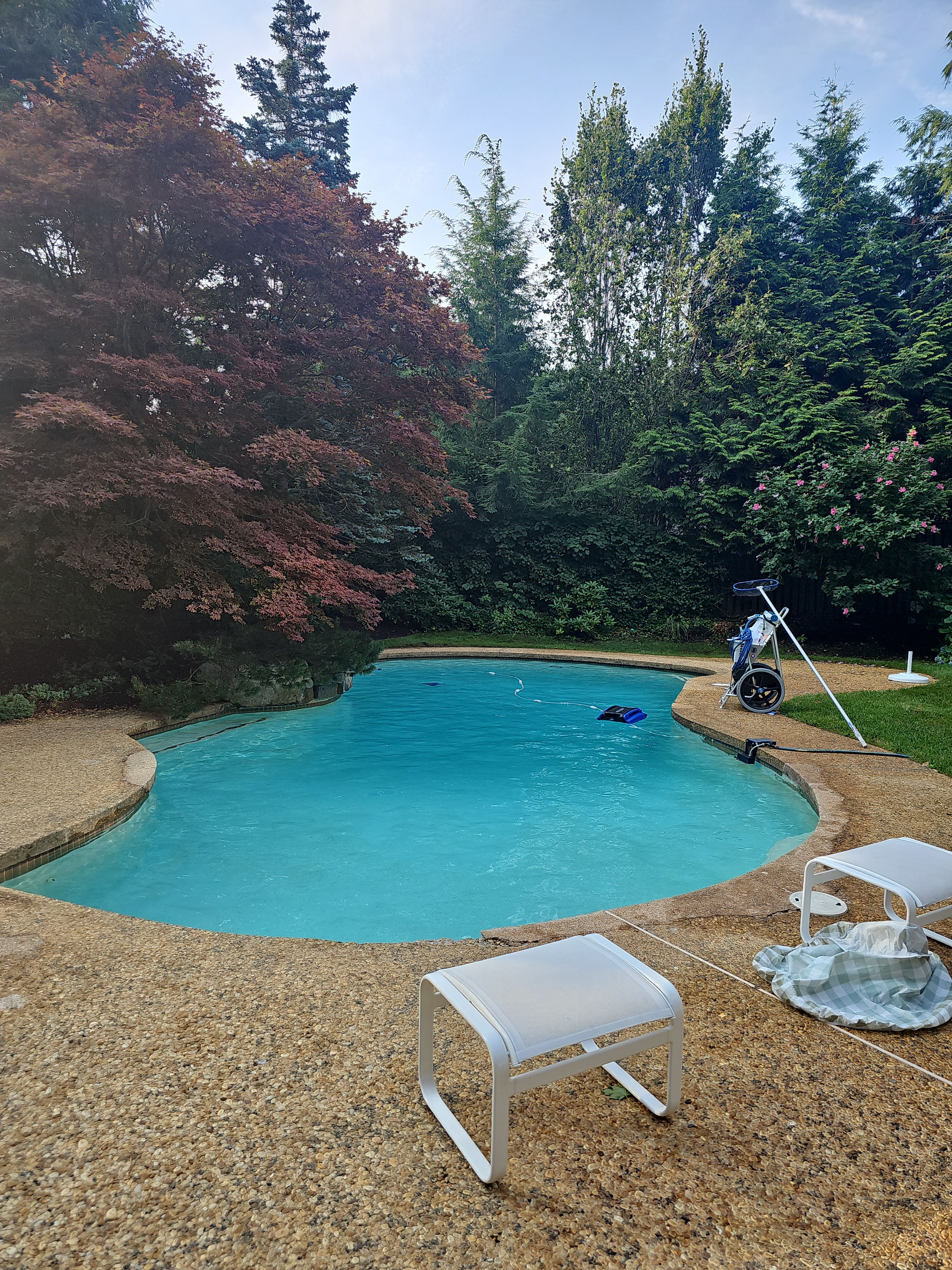  for Blue Max Pool Service Inc. in Framingham, MA