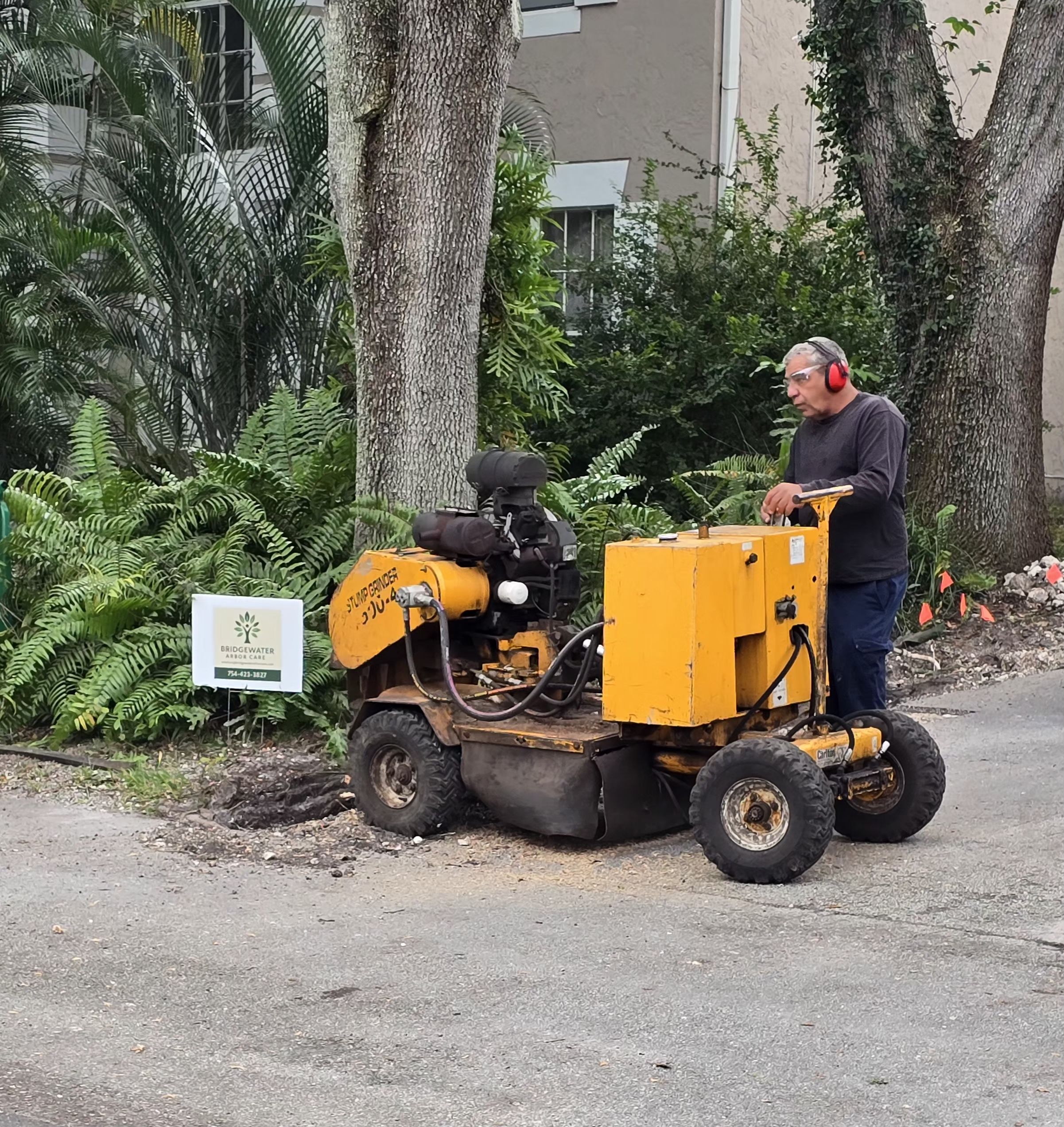  for Bridgewater Arbor Care LLC in Jupiter, FL