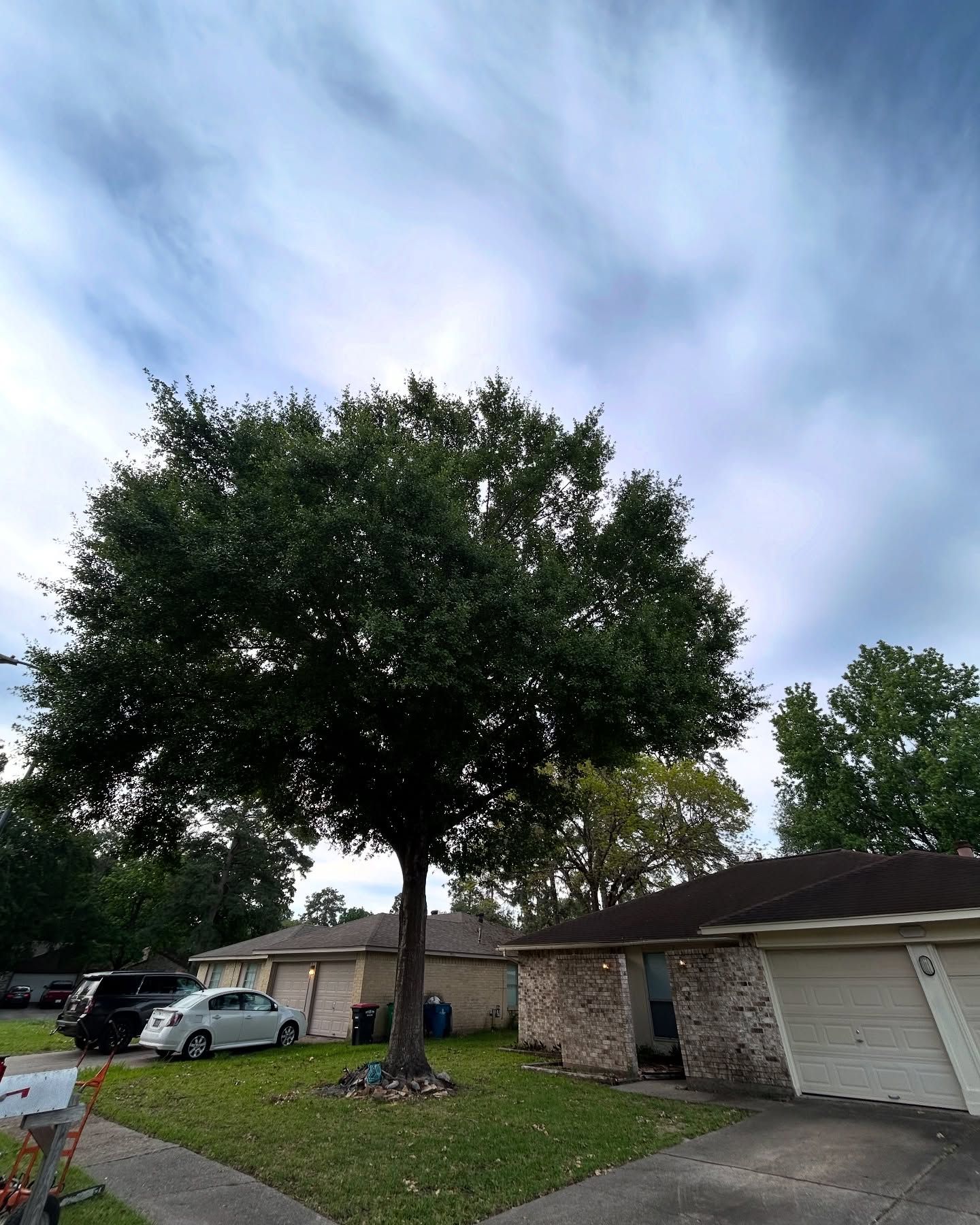  for C&B Ramos Tree Service in Houston, TX