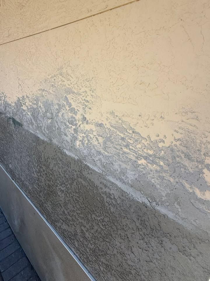  for Escorpio Painting in Tampa, FL