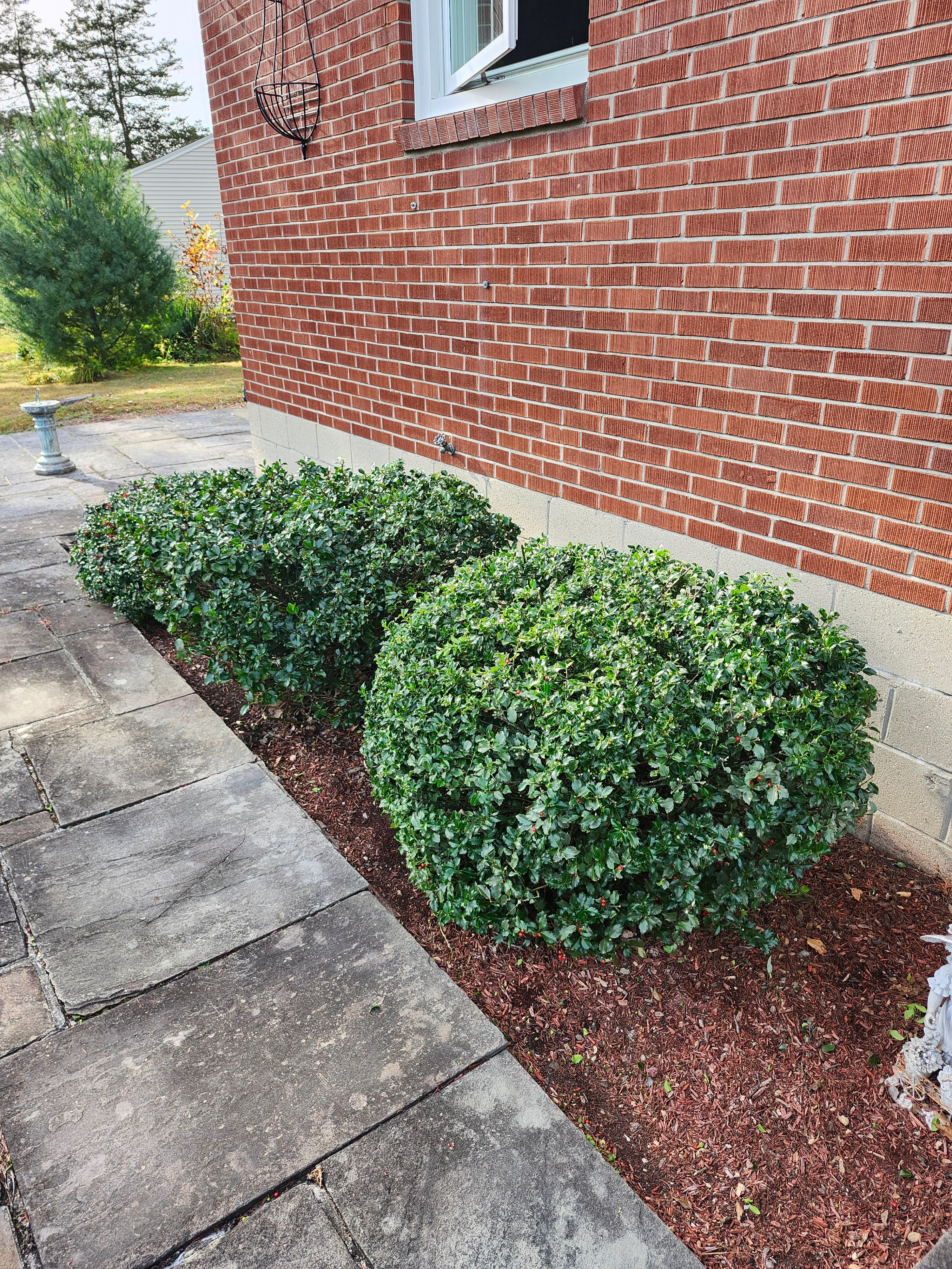  for Landscape Innovations LLC in Torrington, CT