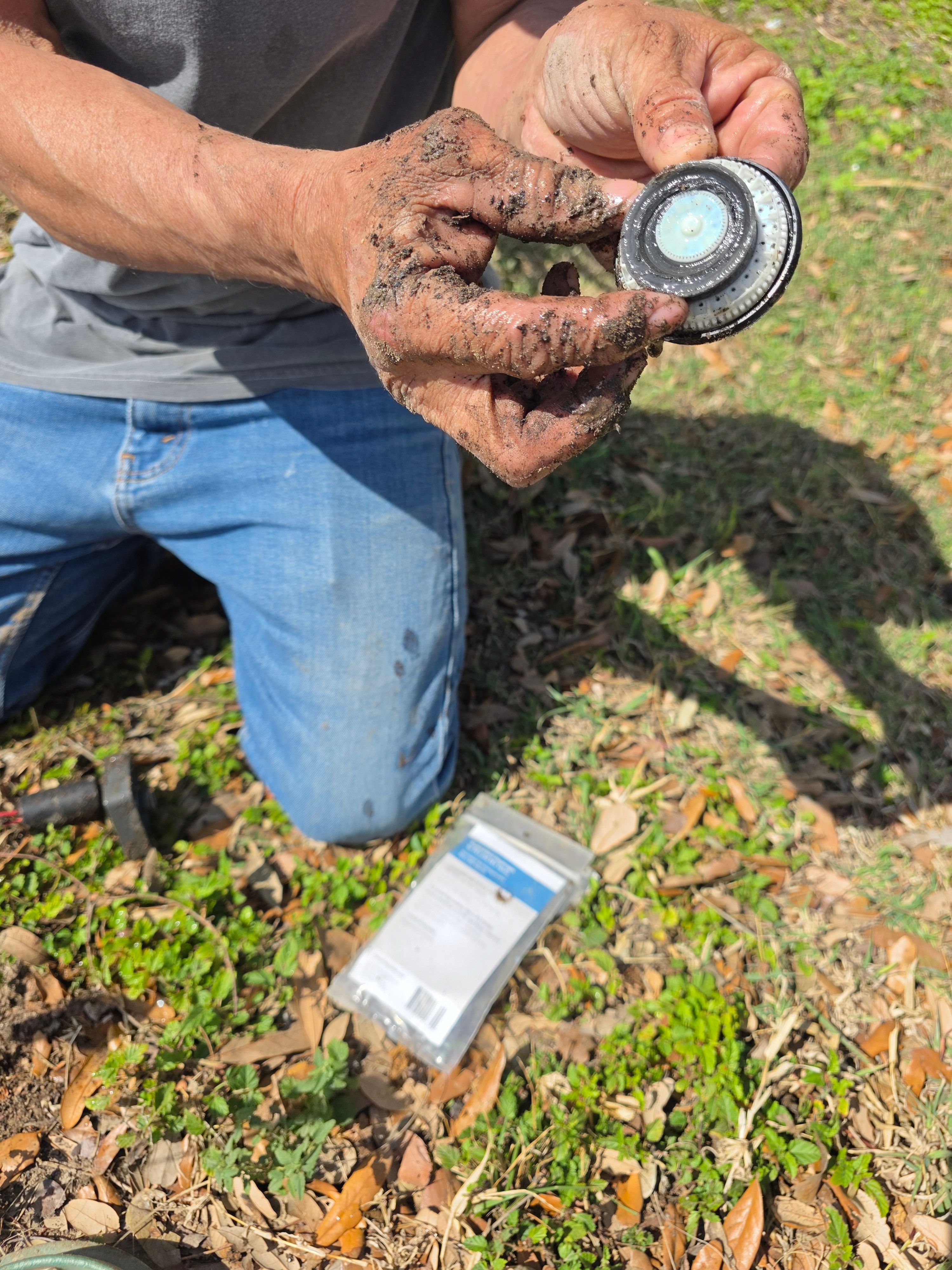  for Pro Lawn Care RGV in McAllen, TX