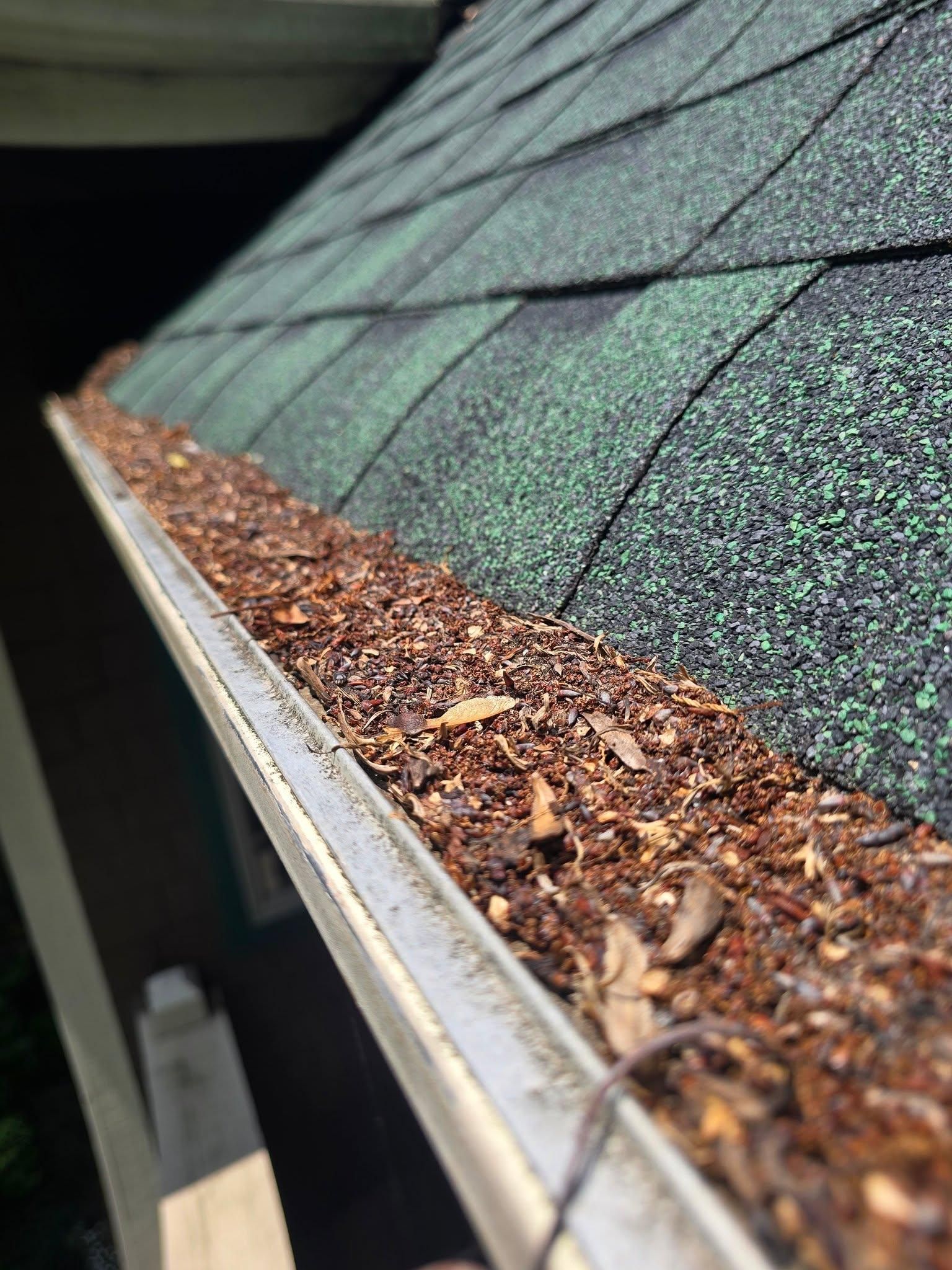  for Dotson Seamless Guttering LLC in Mars Hill, NC