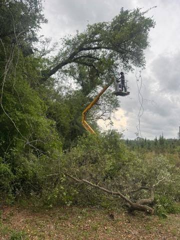  for All Seasons Tree and Land Works in Trenton, FL