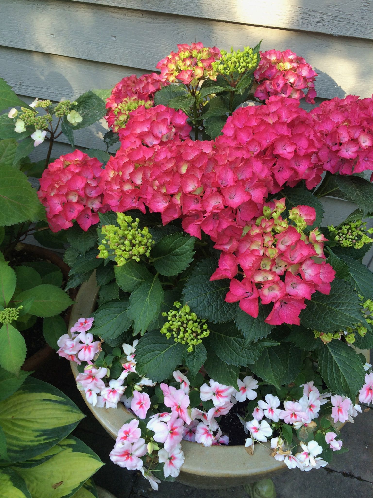  for Courtney Lewis Landscape Design in Portland, OR