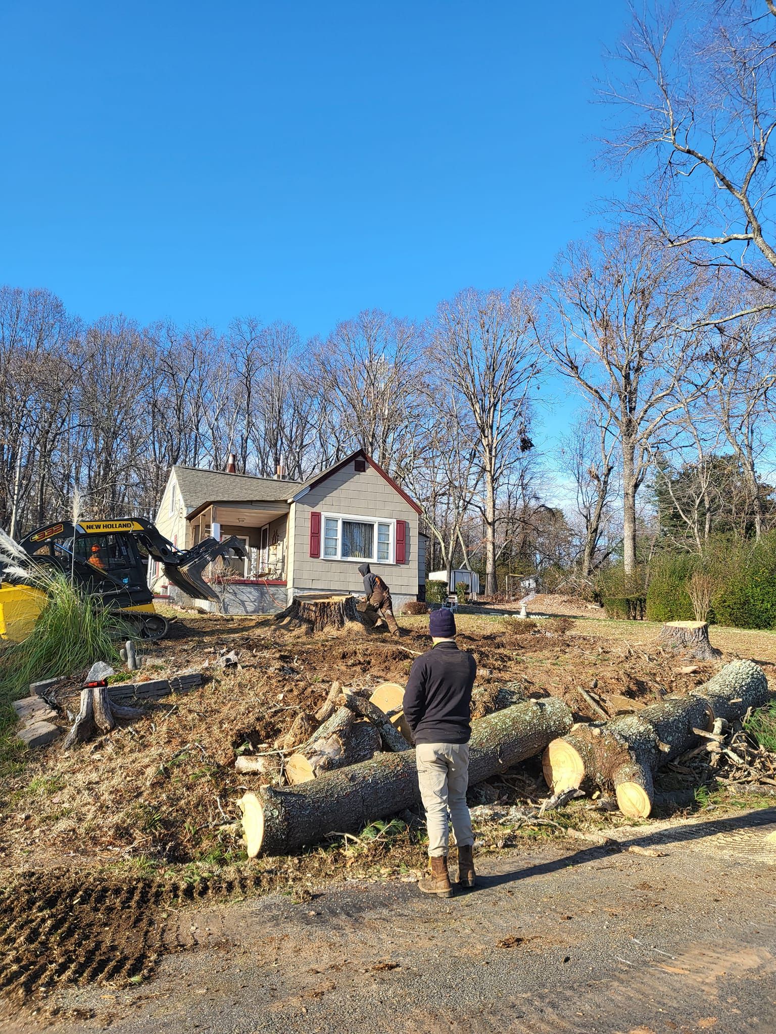 Tree Removal for Smitty's Tree Service in Danville, VA