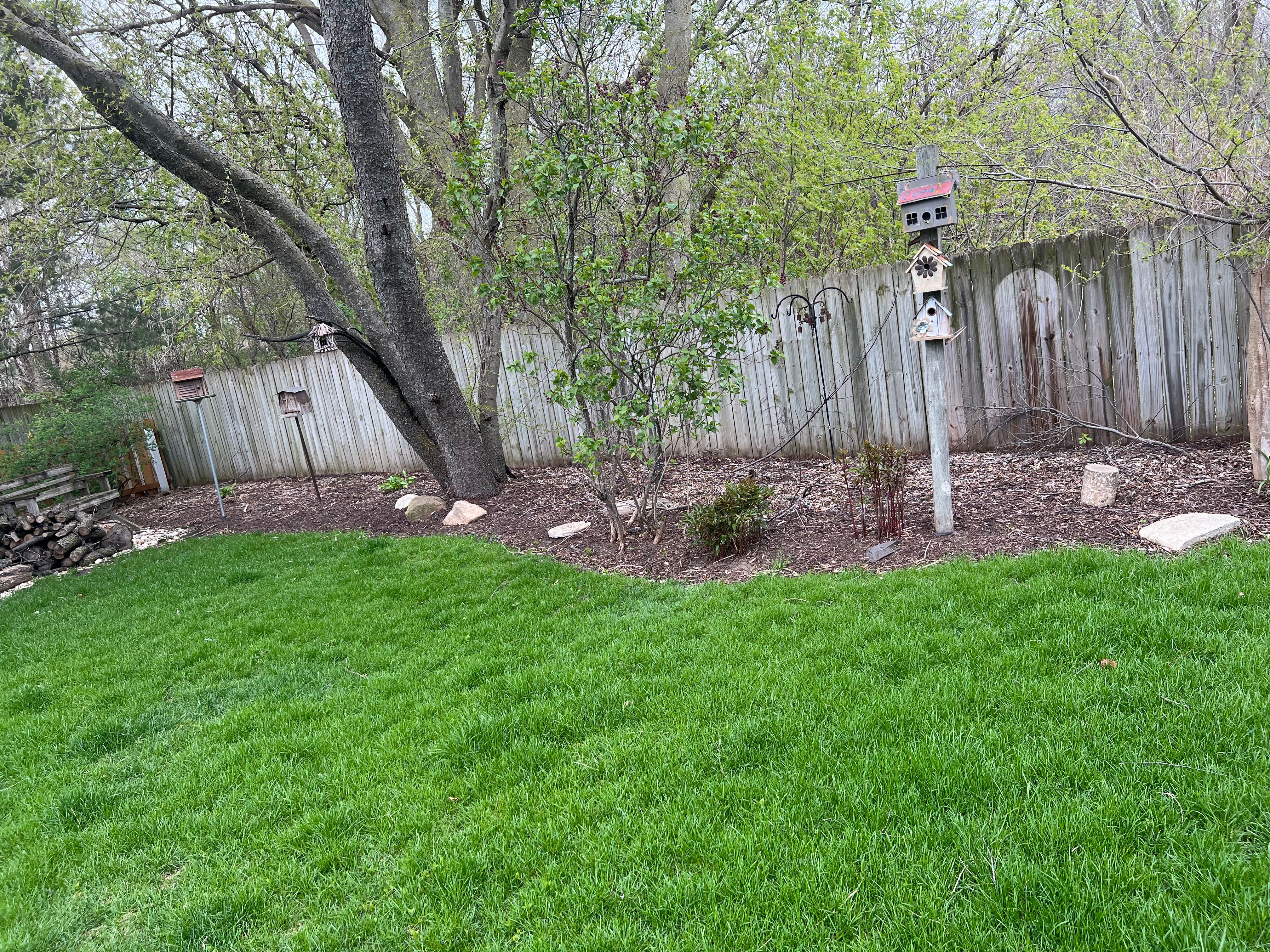  for Cena Landscaping in Rockford, IL