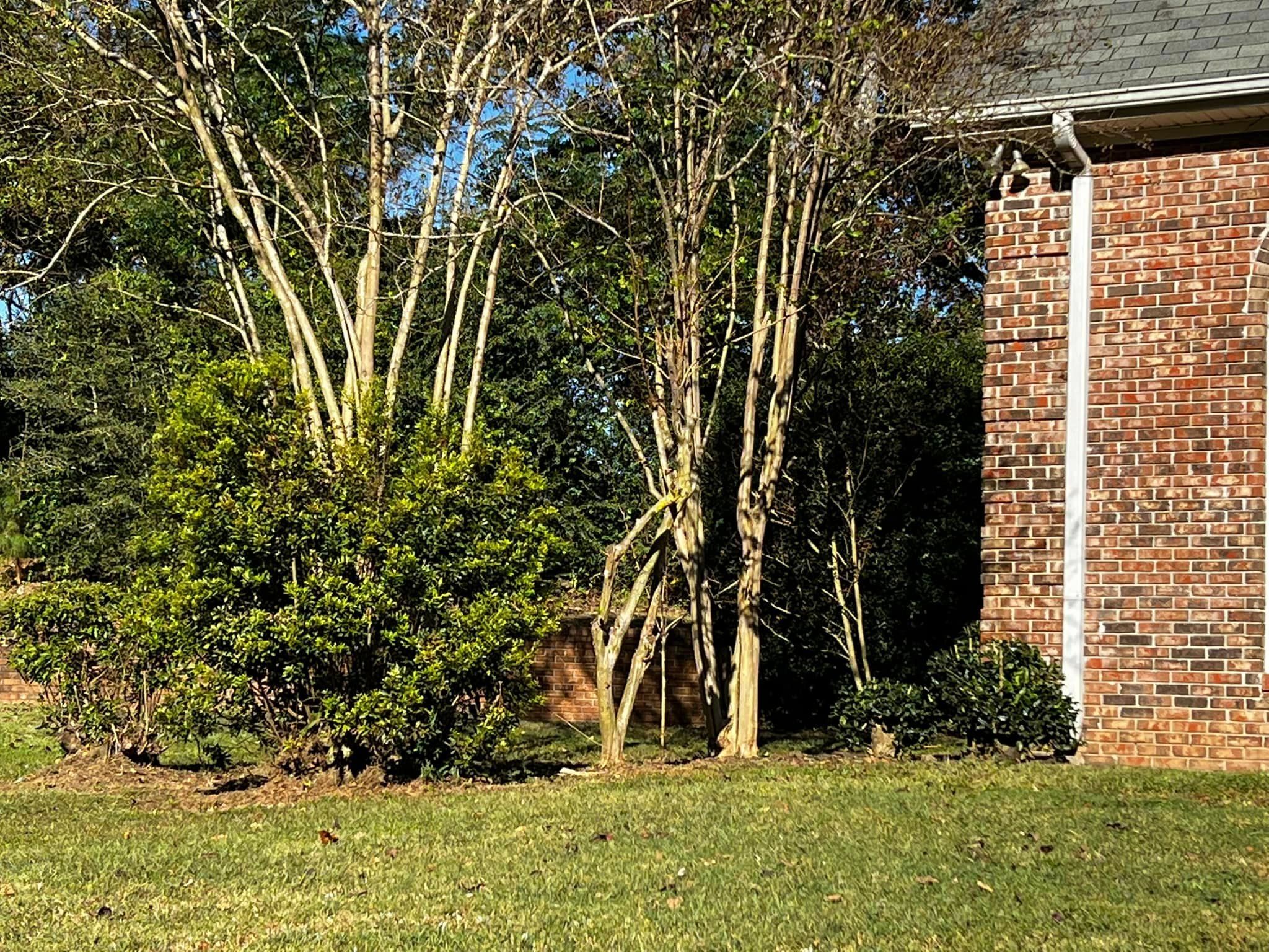  for Reg's Lawn Care Services in LaGrange, GA