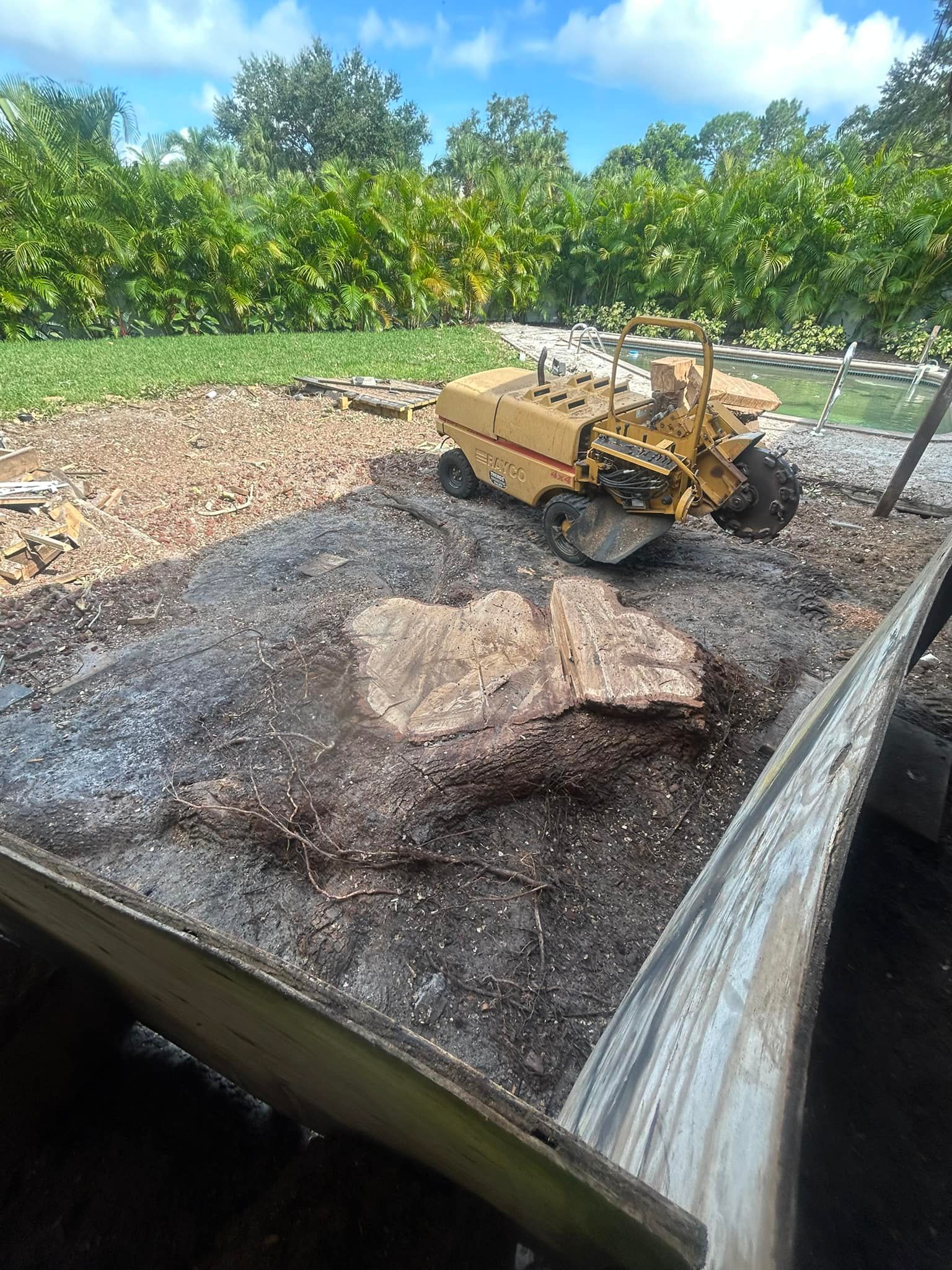  for Grizzly Stump Grinding in Sarasota, FL
