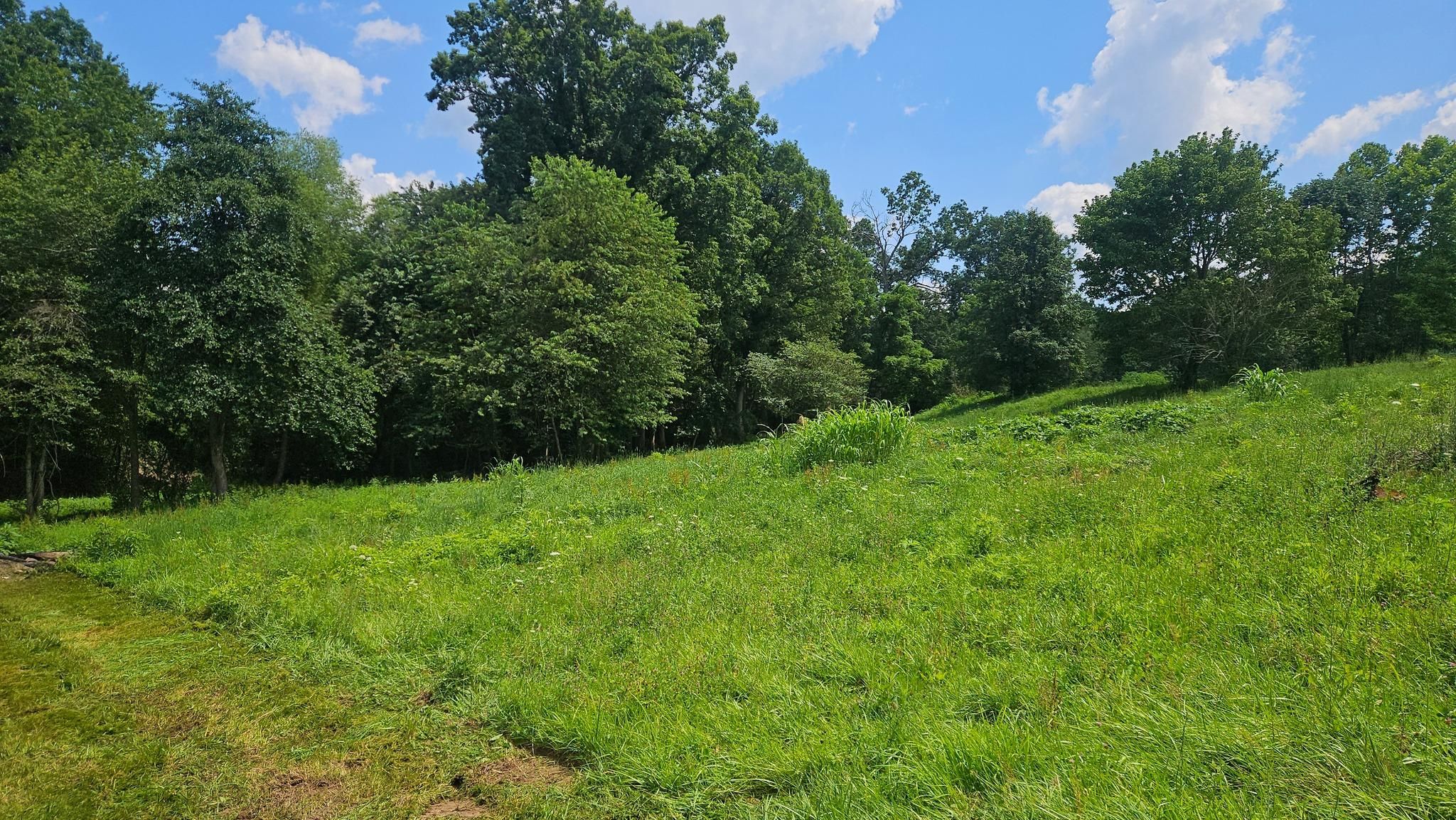 All Photos for B&B Land Management in Jamestown, TN