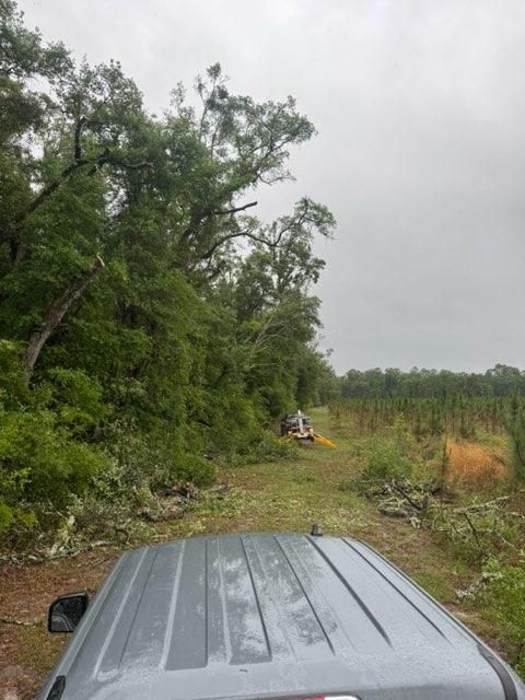  for All Seasons Tree and Land Works in Trenton, FL