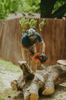 Tree Removal for Blu-J Tree Care in Arlington, TX